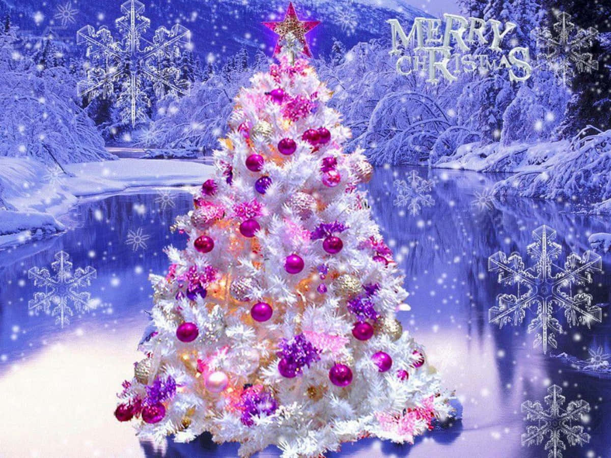 Beyaz Şekerleme Süslemeli Noel Ağaçları Resmi Duvar Kağıdı