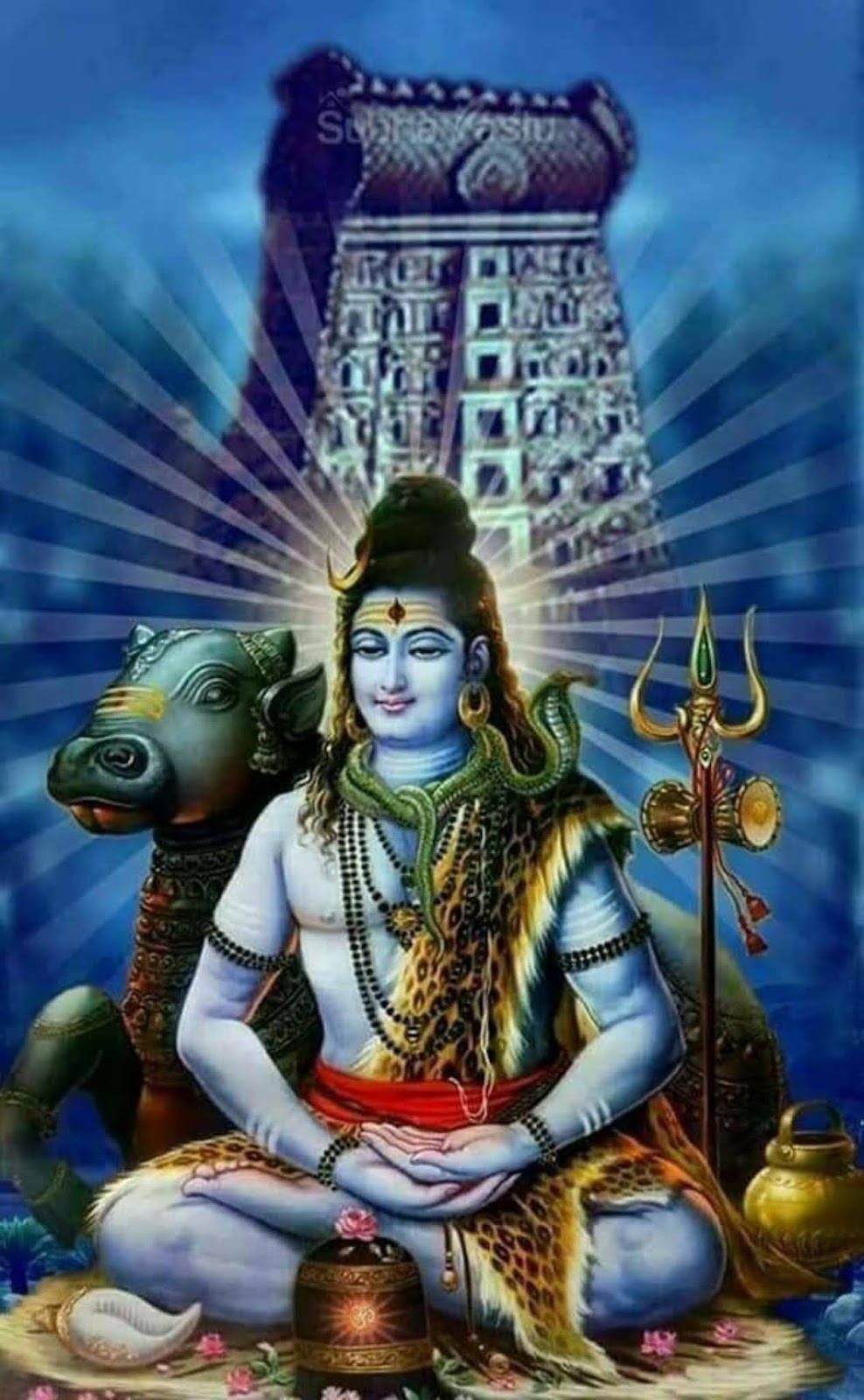 Bholenath HD Shiva Lotus Pozu Nandi Boğa Duvar Kağıdı