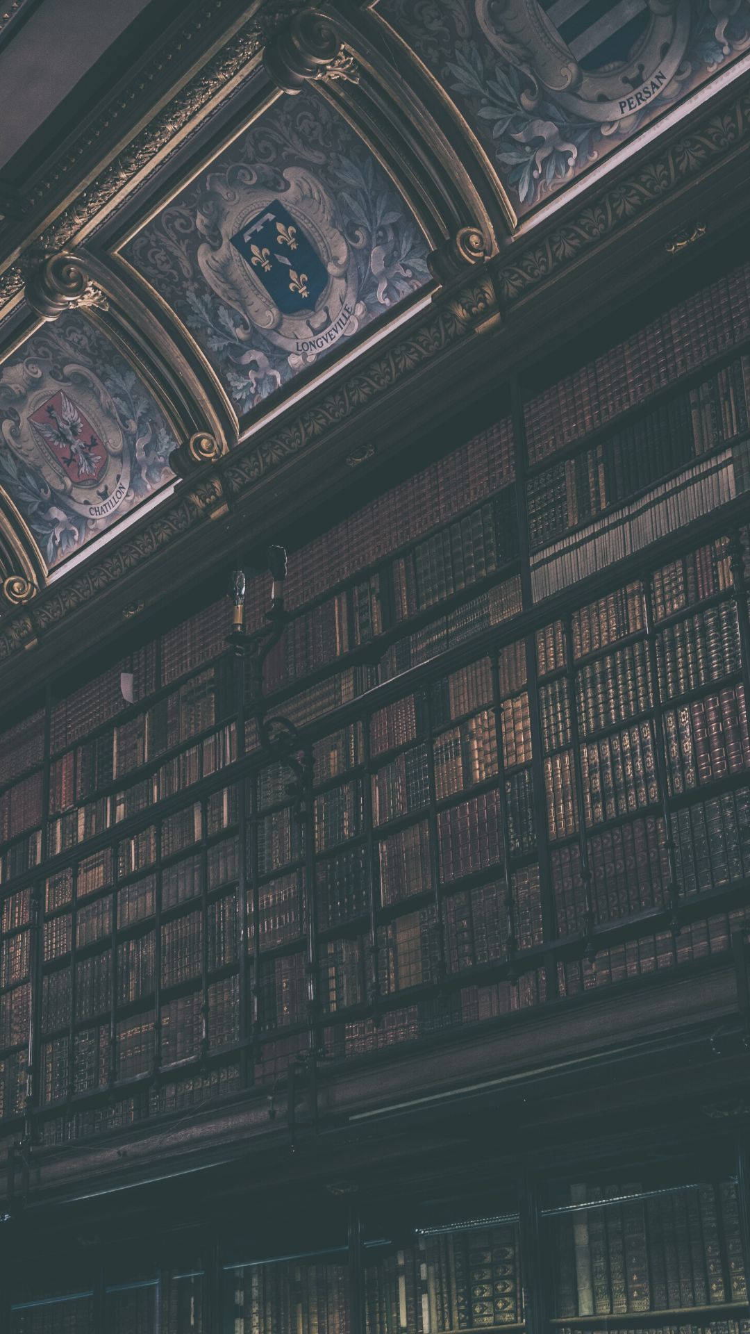 Karanlık Akademi Estetiği Kütüphanesi