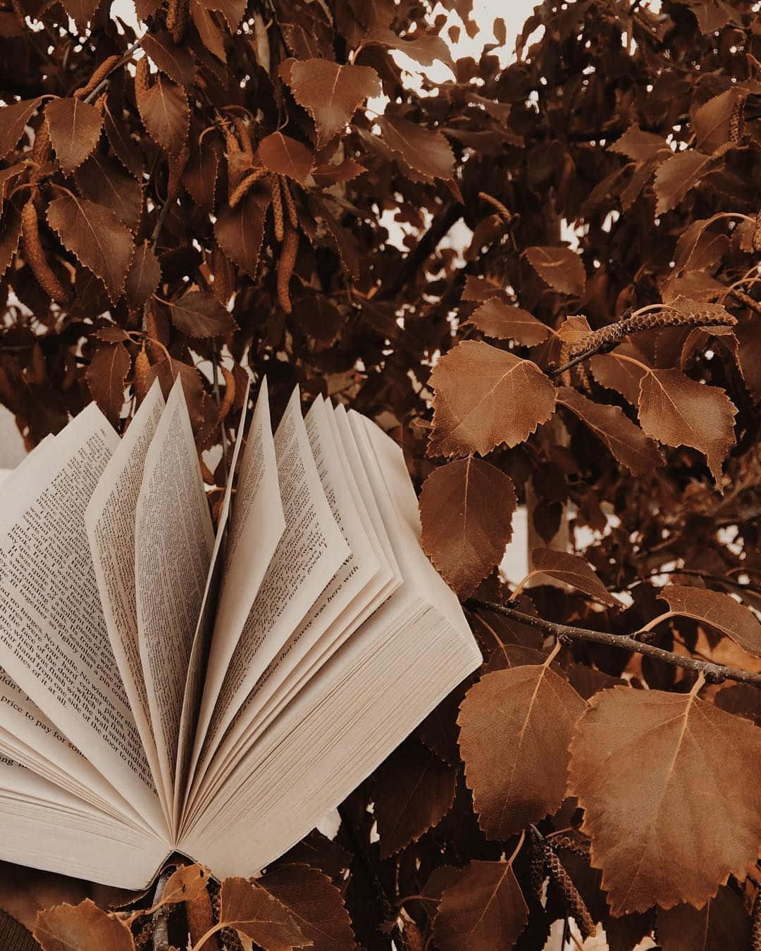 bir ağaç dalının üzerinde duran açık bir kitap Duvar Kağıdı