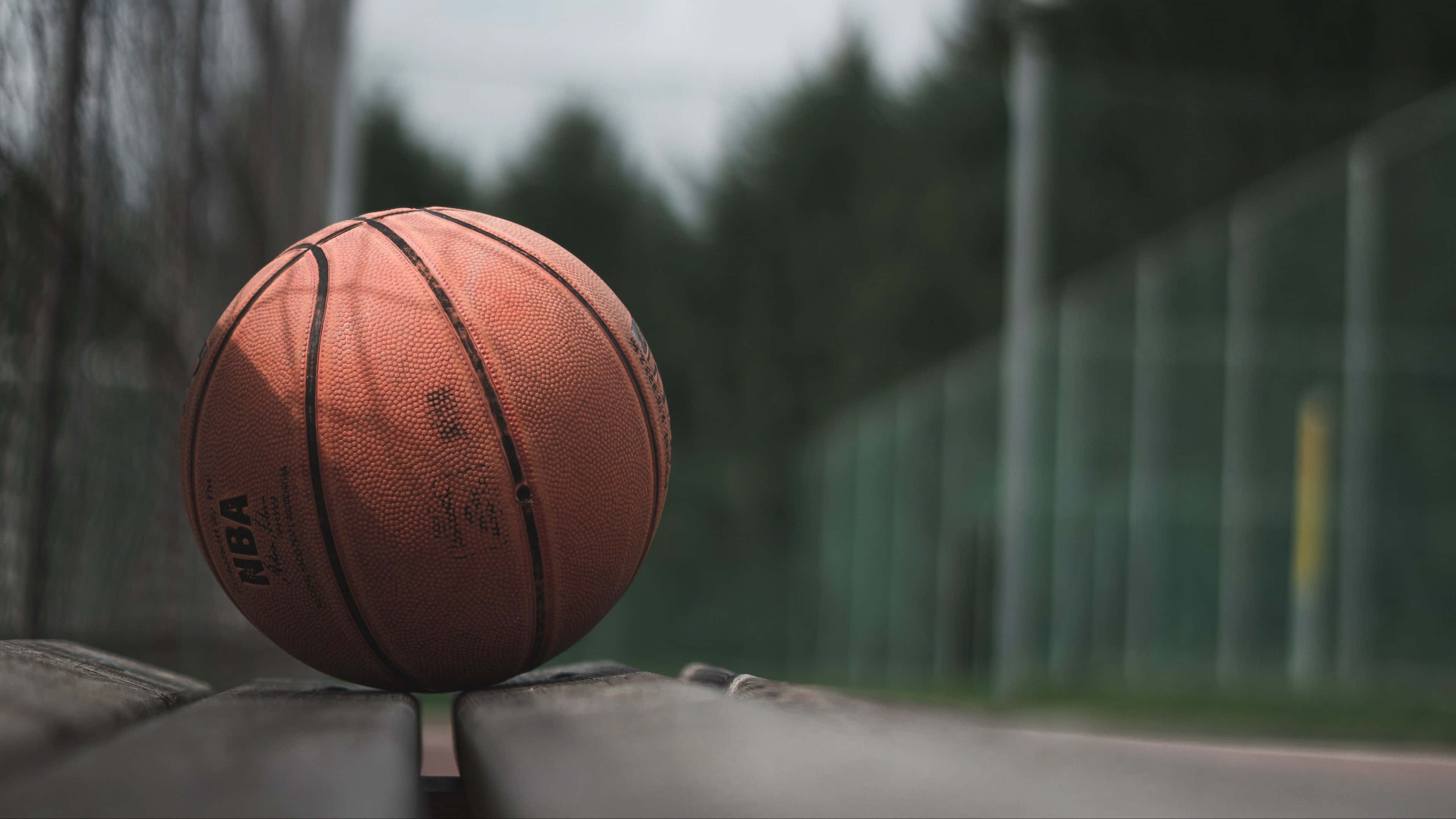 bir basketbol topu bankta Duvar Kağıdı