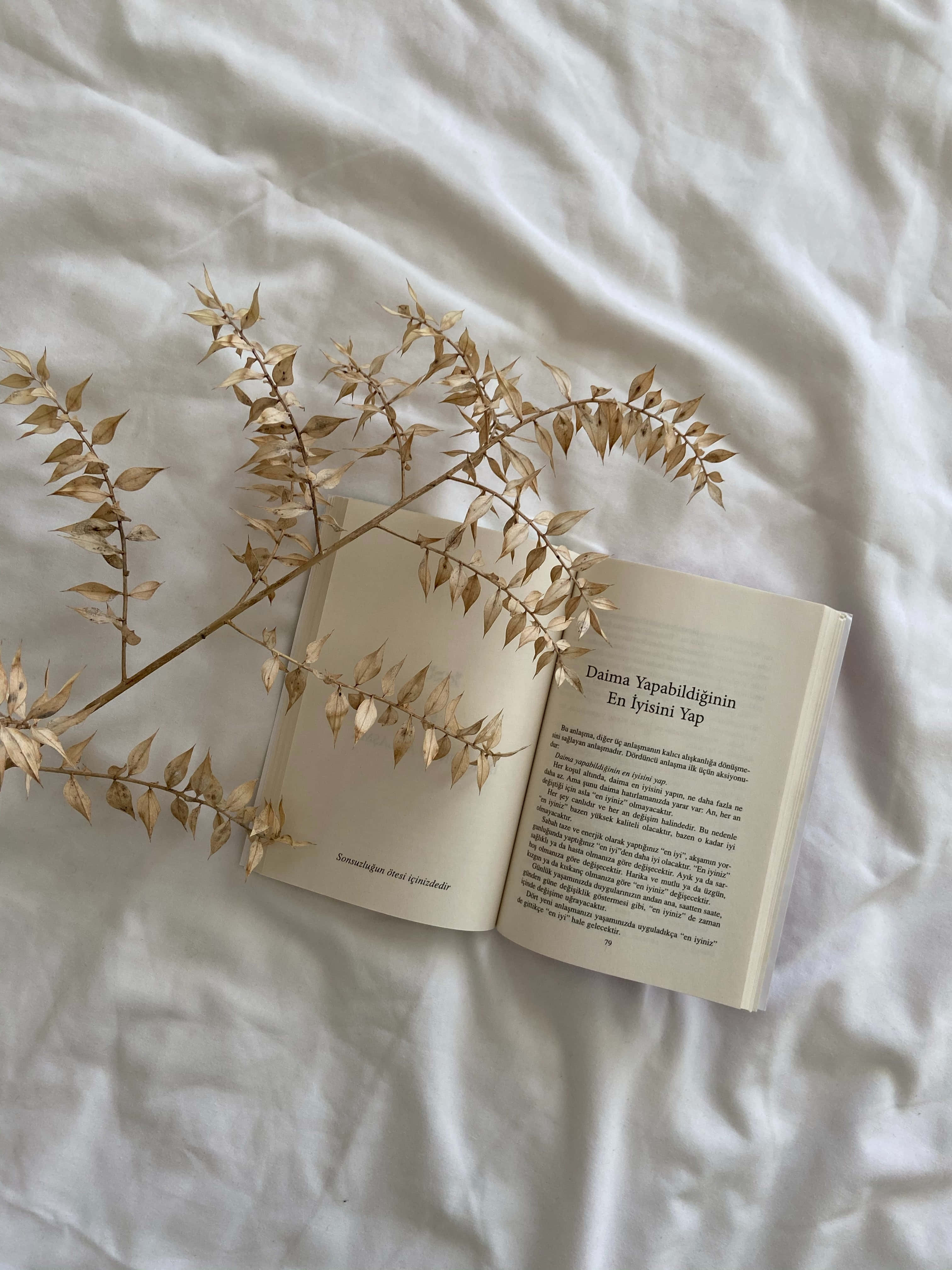 Bir fincan kahve ve açık bir kitap, yeni bilgiler edinmek için mükemmel bir günde. Duvar Kağıdı