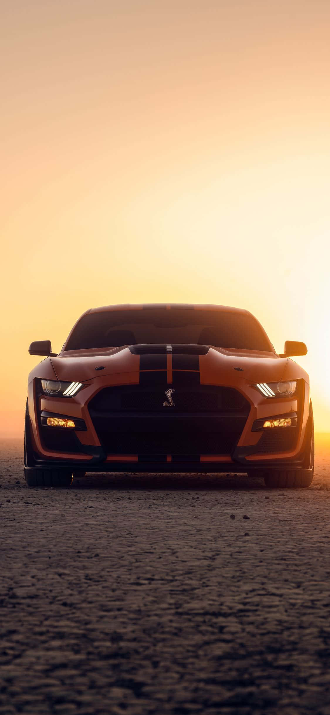bir ford mustang gt gün batımında çölde oturuyor Duvar Kağıdı