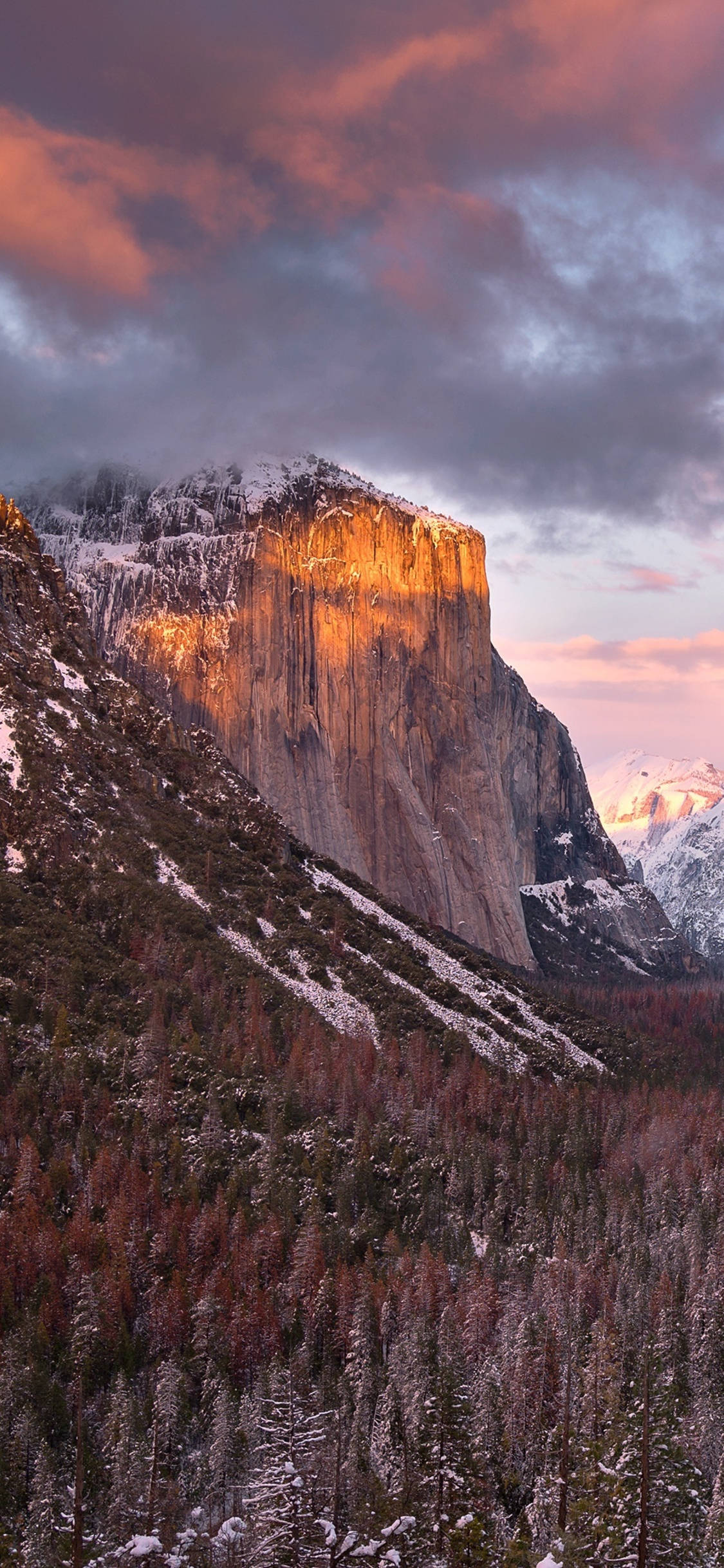 Bir iPhone merceğinden görülen Yosemite Ulusal Parkı'nın güzel bir manzarası Duvar Kağıdı