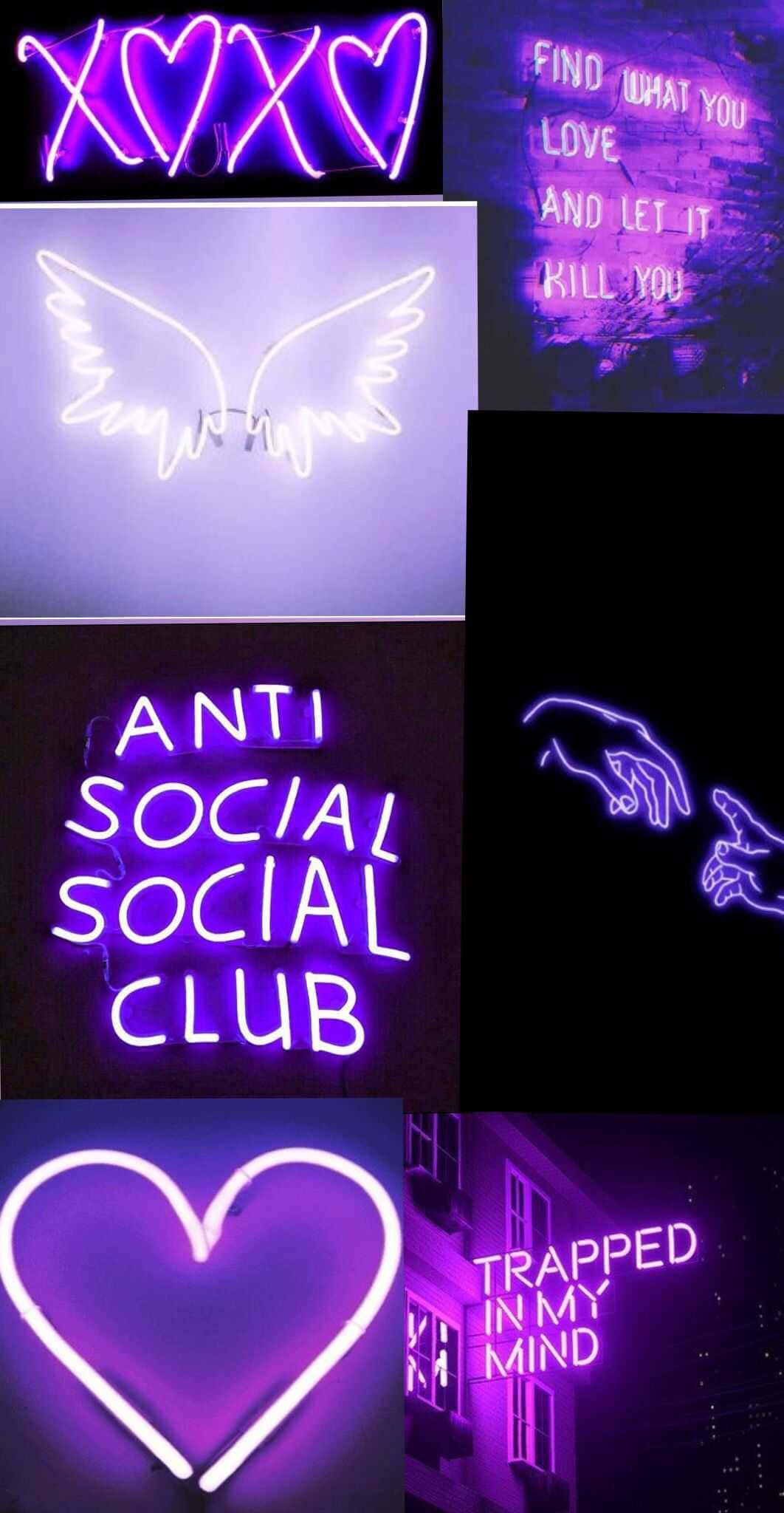 bir koleksiyon neon tabelalar anti social club gibi kelimelerle Duvar Kağıdı