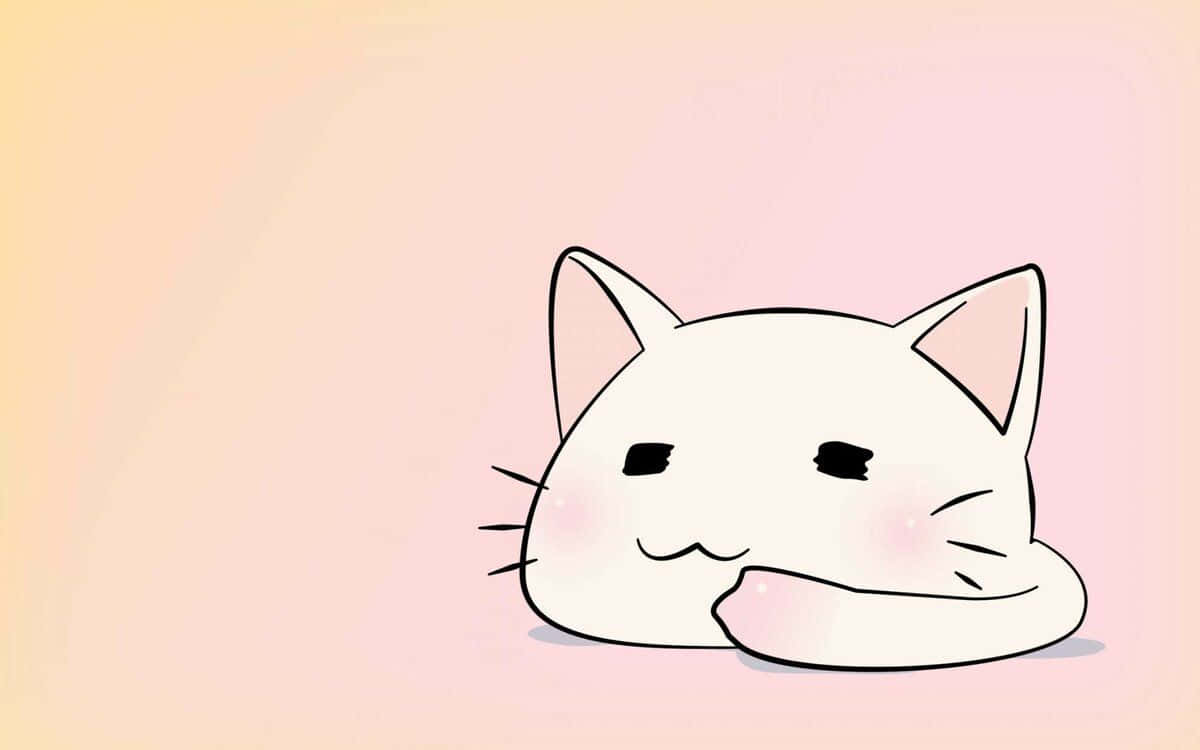 bir pet shopta sevimli bir anime kedi Duvar Kağıdı