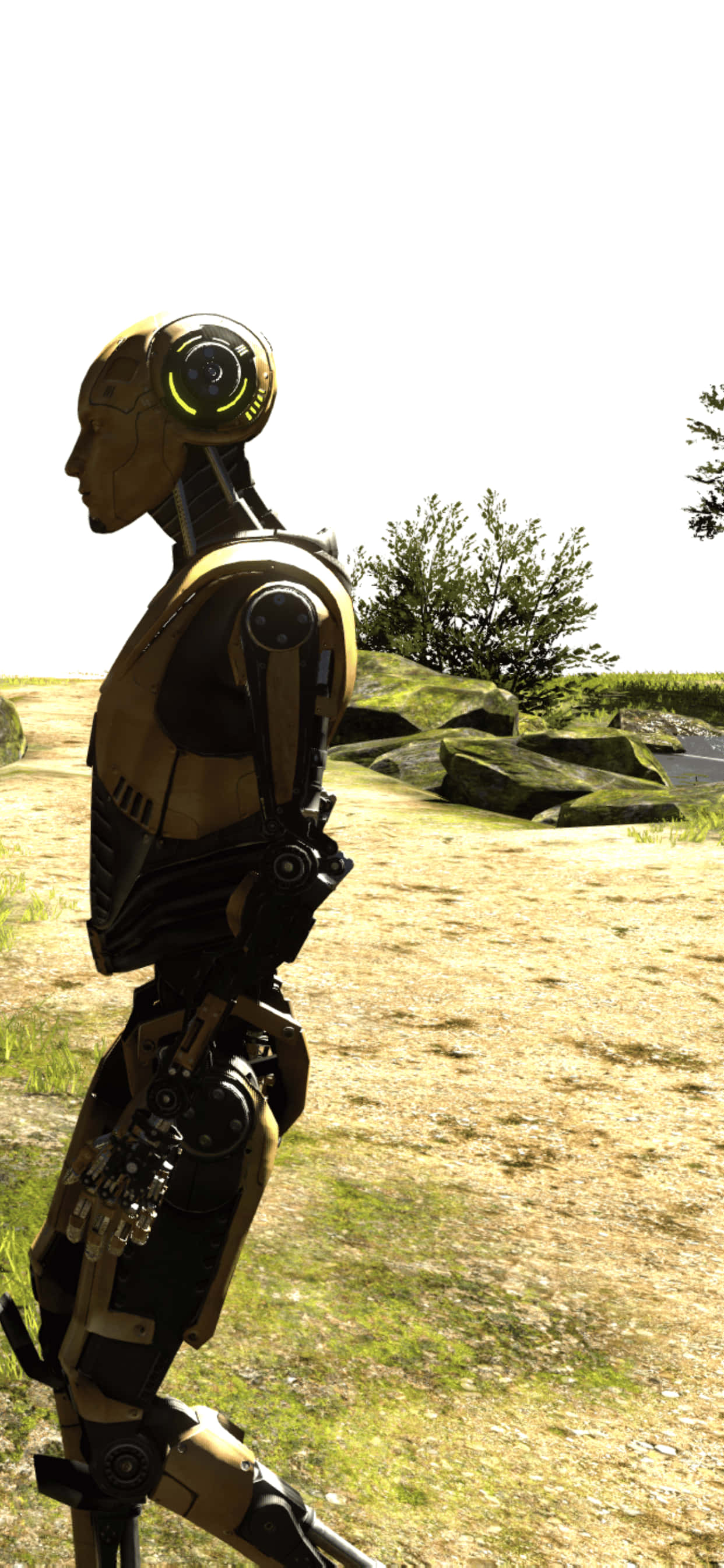 bir robot tarlada yürüyor Duvar Kağıdı