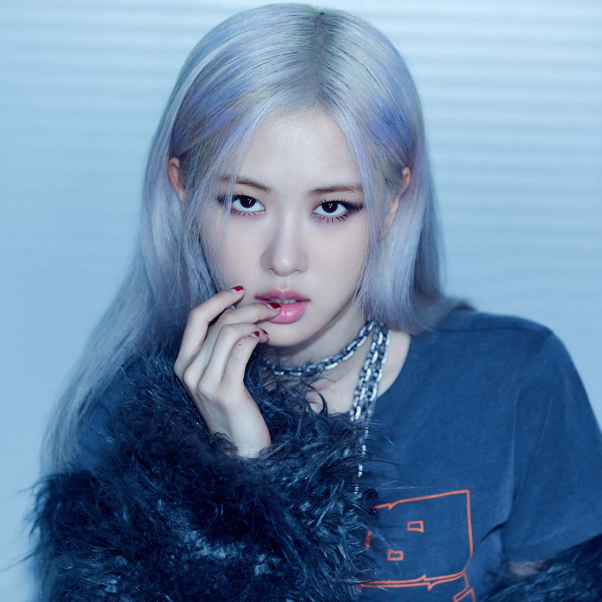 BLACKPINK Rose ile Profil Fotoğrafı Fikirleri Duvar Kağıdı