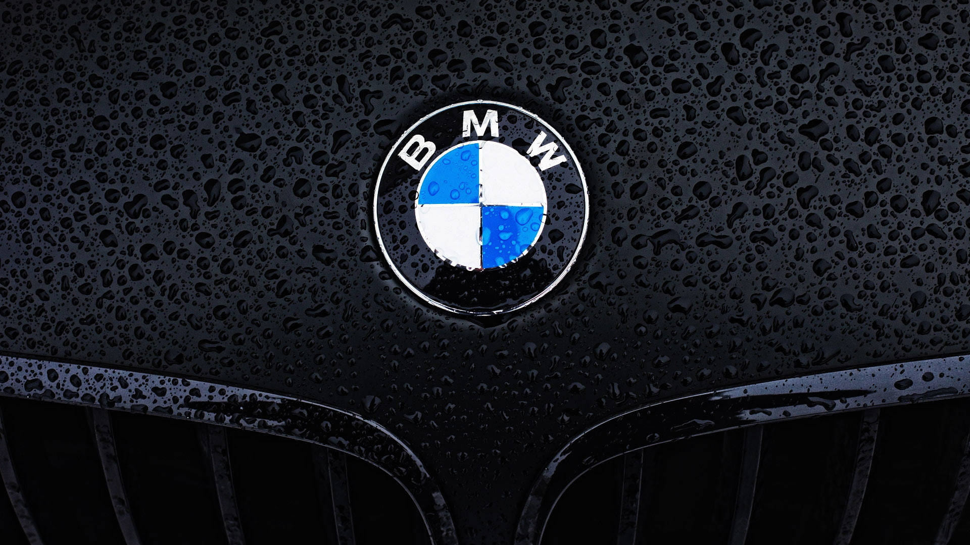 BMW Dizüstü Bilgisayar Logosu Yakın Çekim Duvar Kağıdı