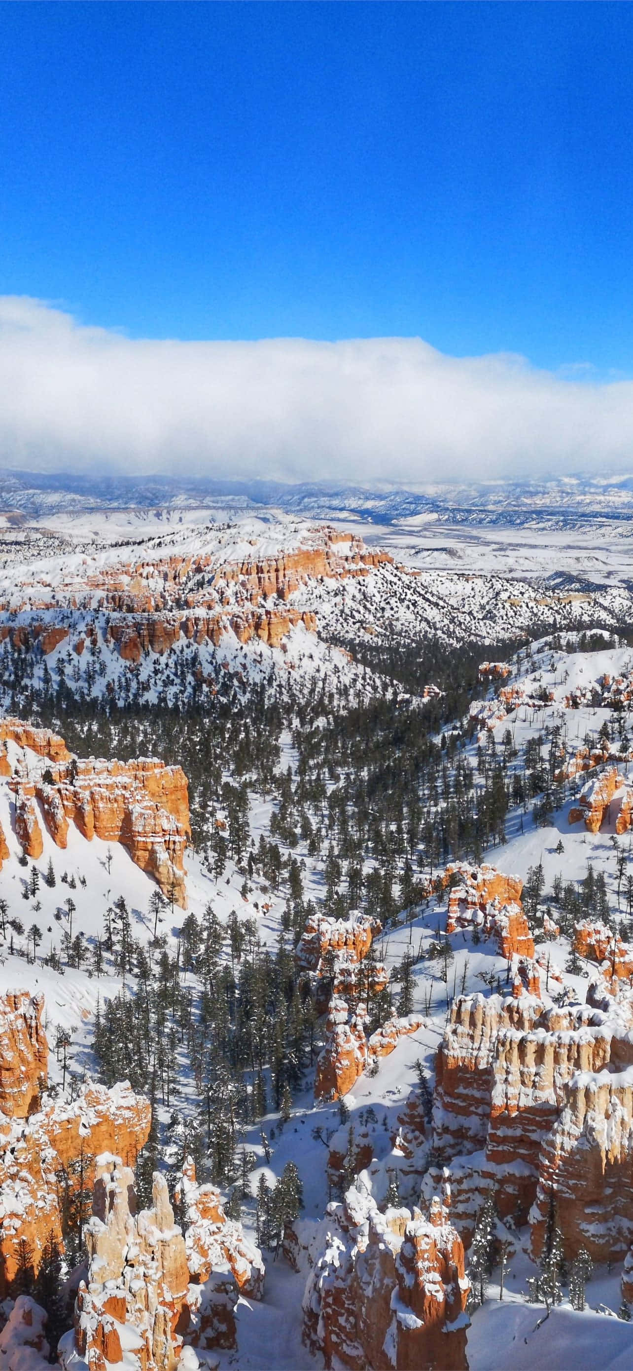 Bryce Canyon Ulusal Parkı Derin Kar Duvar Kağıdı