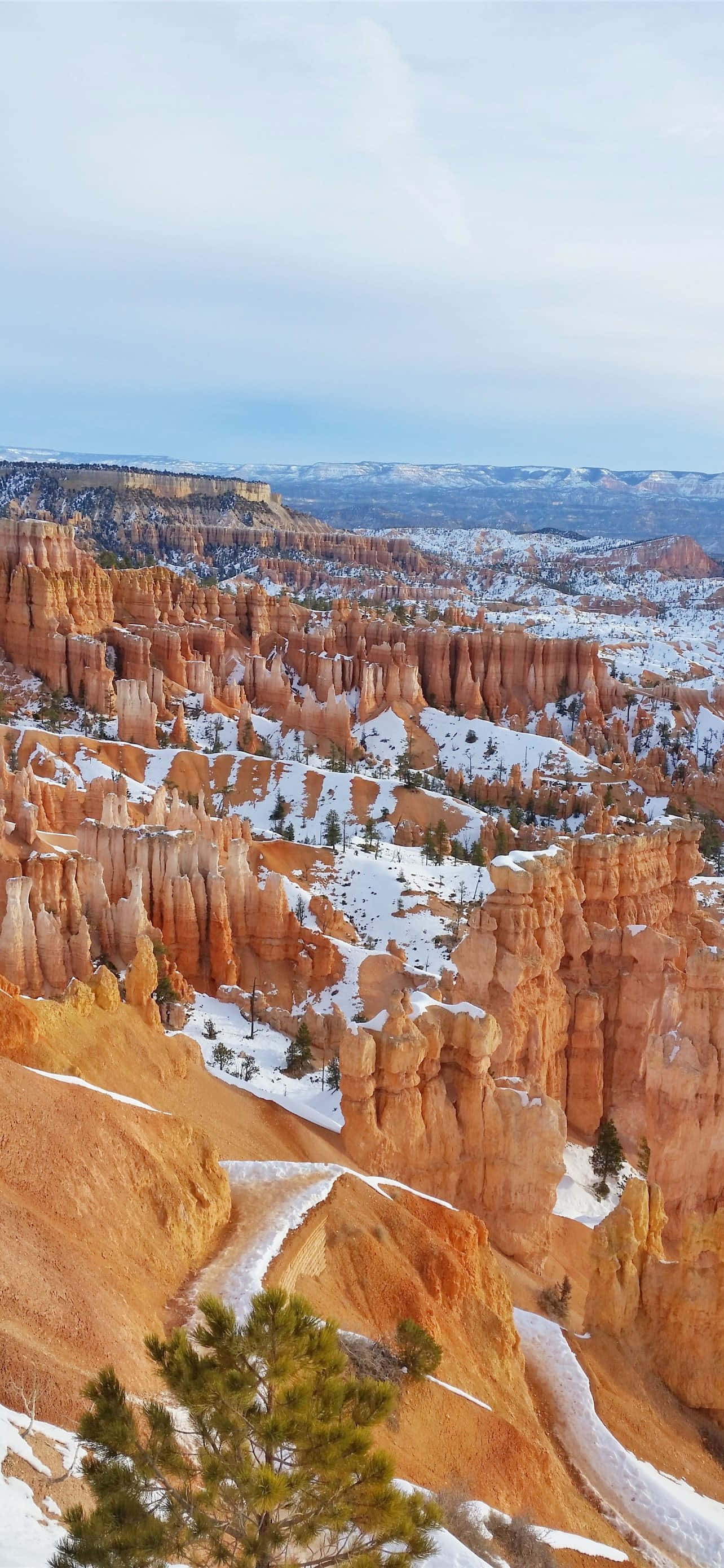 Bryce Canyon Ulusal Parkı Kar Yağışı Duvar Kağıdı