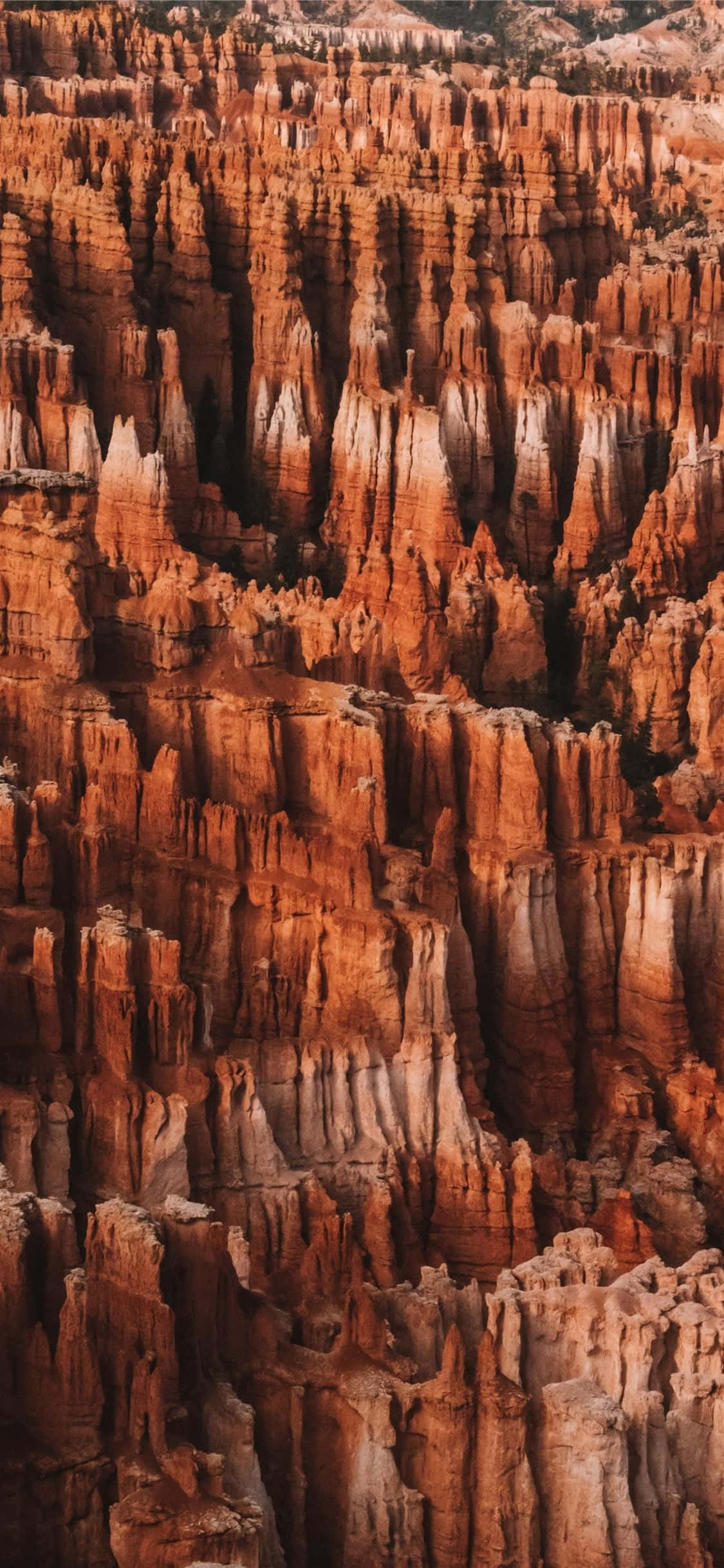 Bryce Canyon Ulusal Parkı'nda Muhteşem Kırmızı Kuleler Duvar Kağıdı