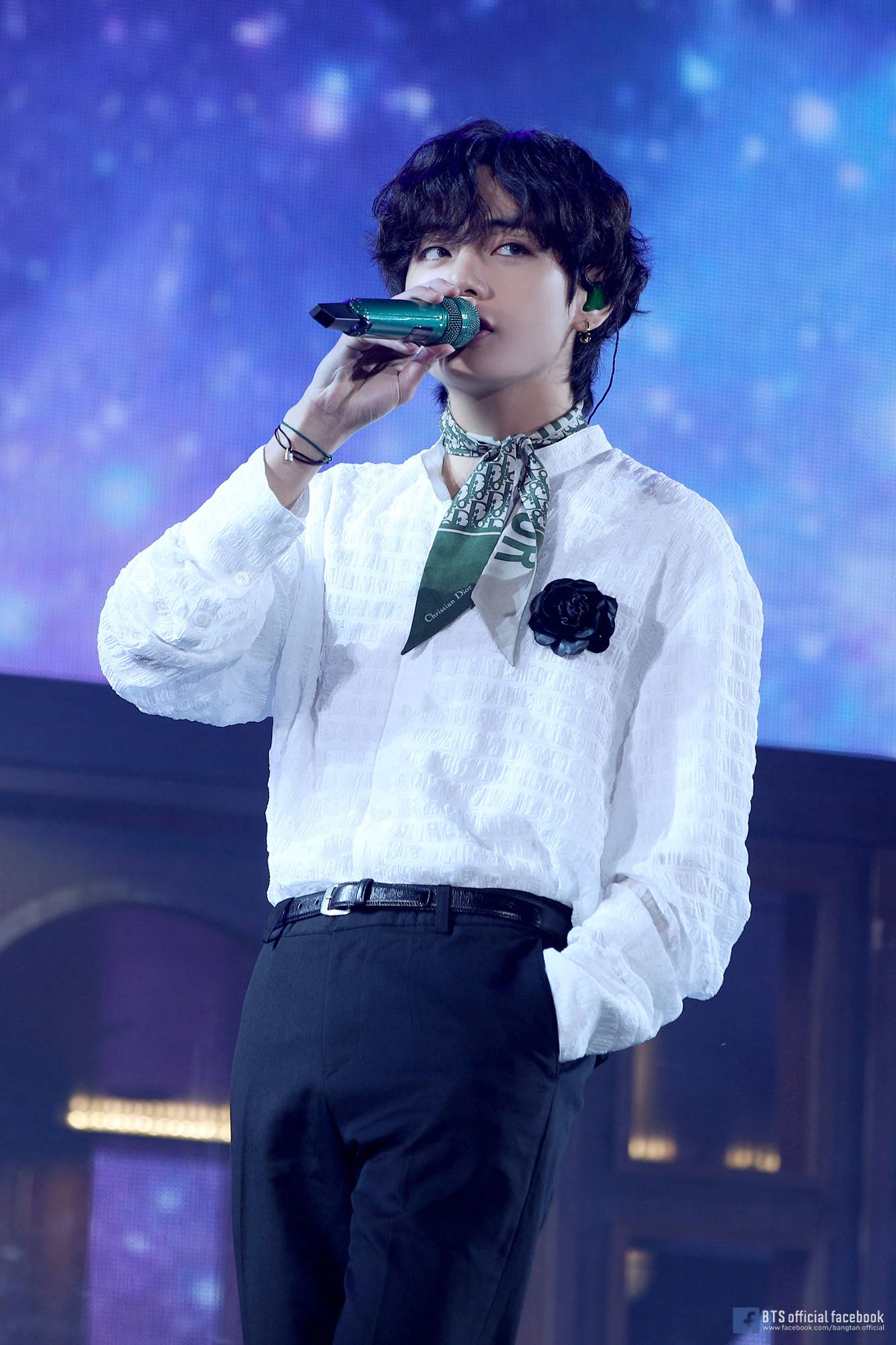BTS V Dior Atkı Duvar Kağıdı