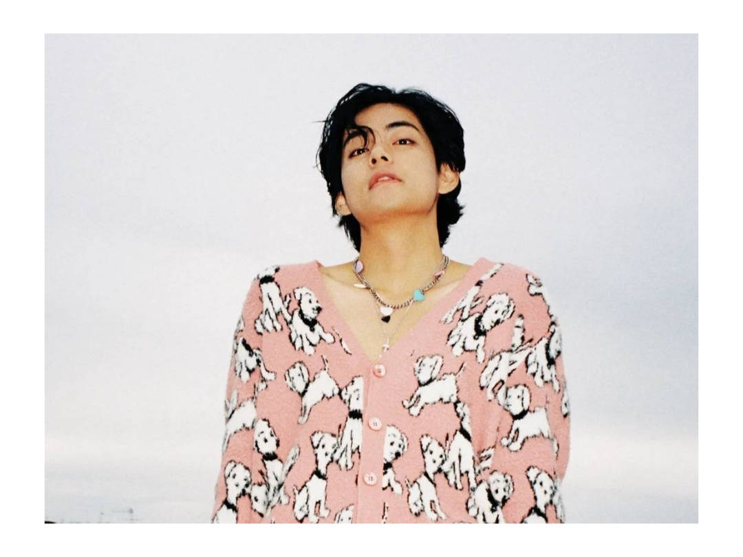 BTS V Pembe Köpek Yavrusu Kazakta Duvar Kağıdı