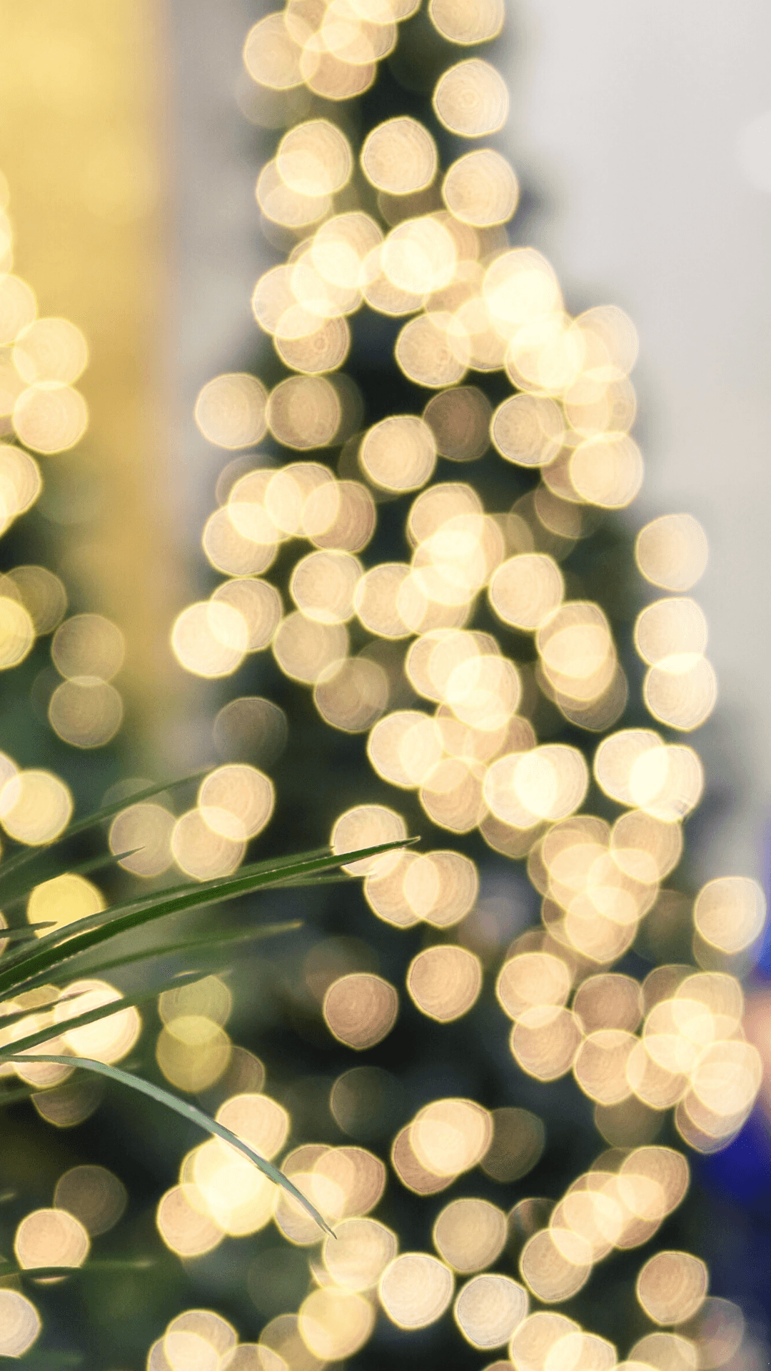 Bu bayram sezonu için şenlikli bir Noel temalı telefon Duvar Kağıdı