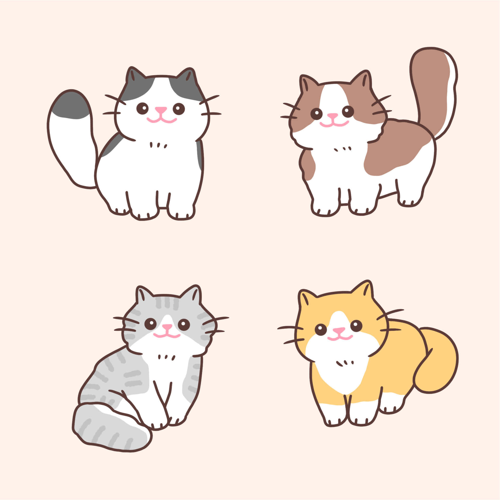 Bu çizgi film kedi güneşte kestiriyor. Duvar Kağıdı