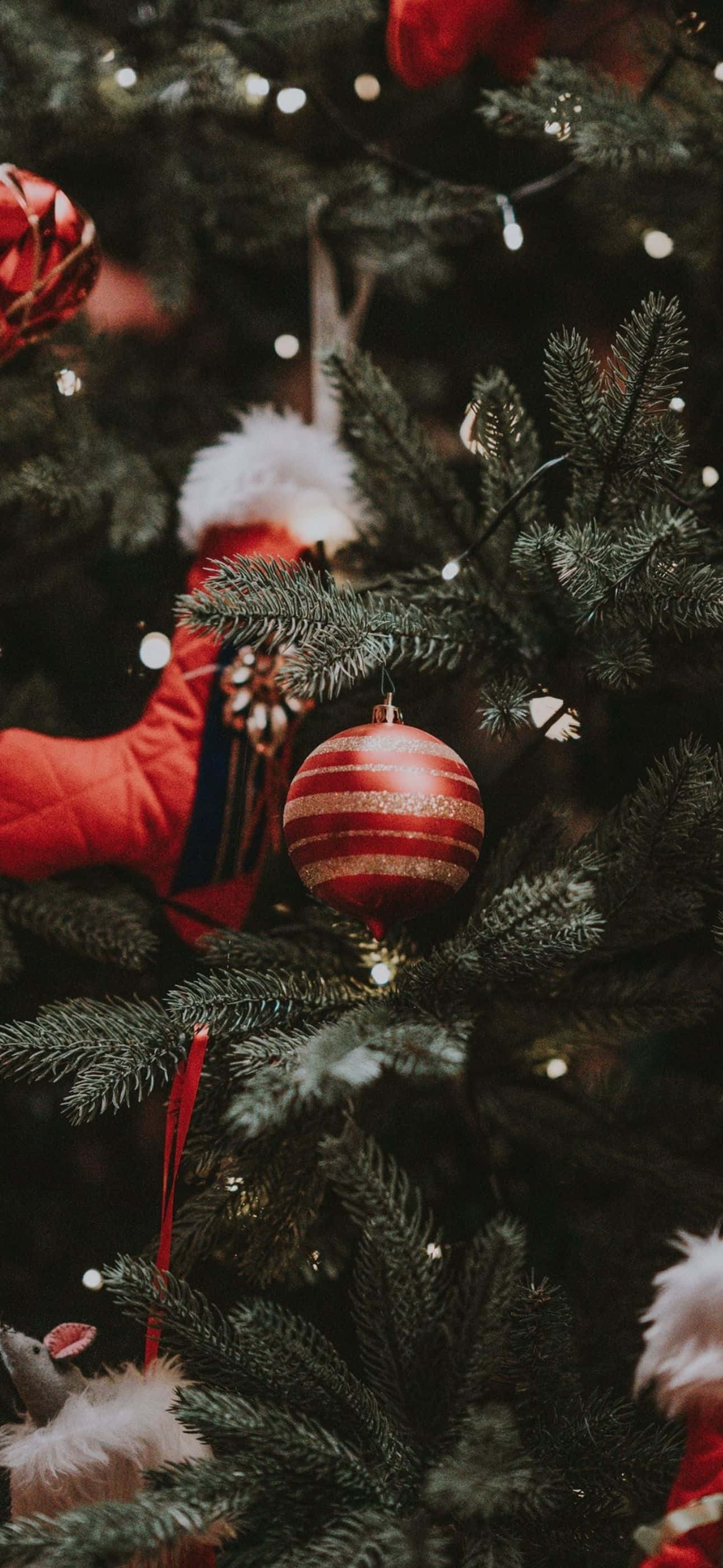 Bu Noel Sezonunu Bu Güzel ve Şenlikli iPhone Arka Planıyla Kutlayın Duvar Kağıdı