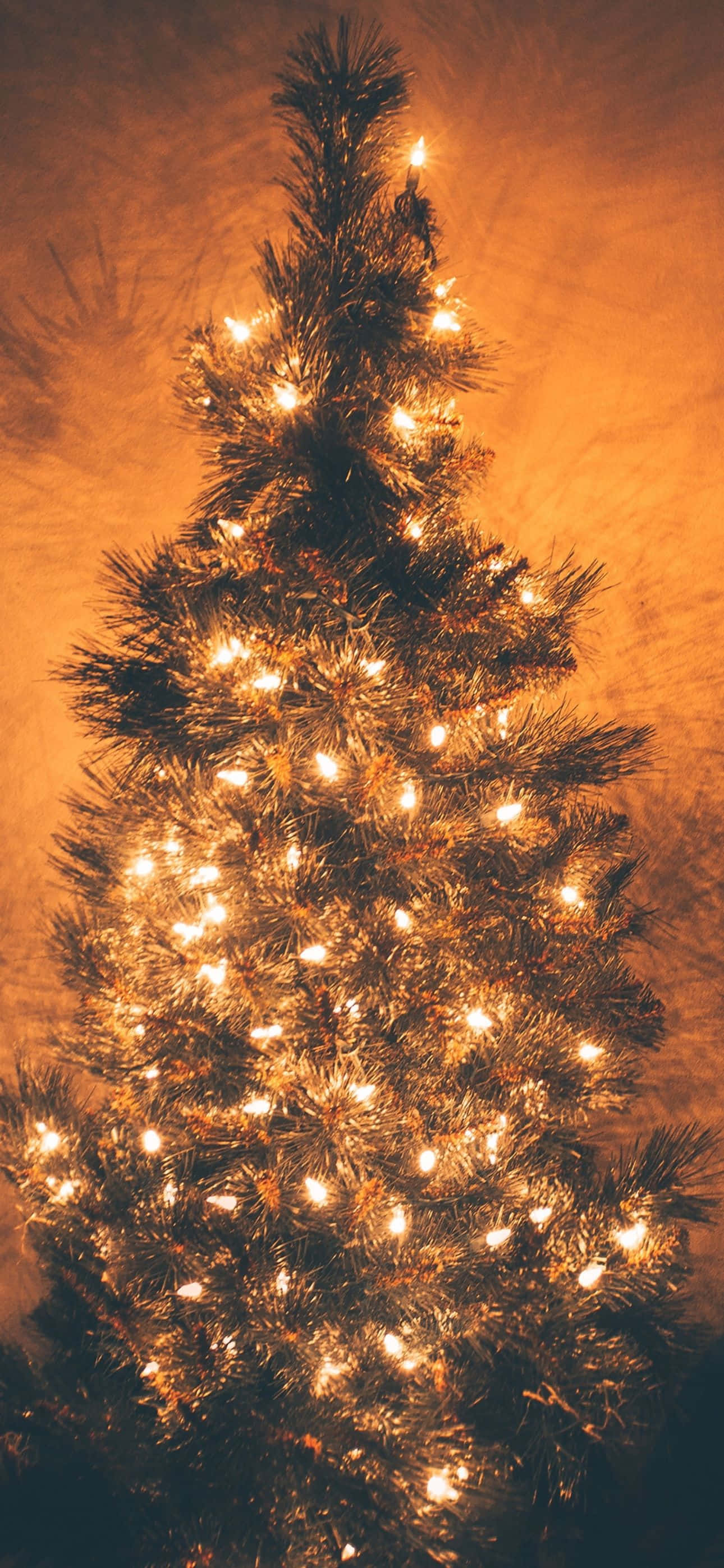 Bu Noel Temalı iPhone Duvar Kağıdıyla Büyülü Bir Tatil Sezonunun Keyfini Çıkarın Duvar Kağıdı