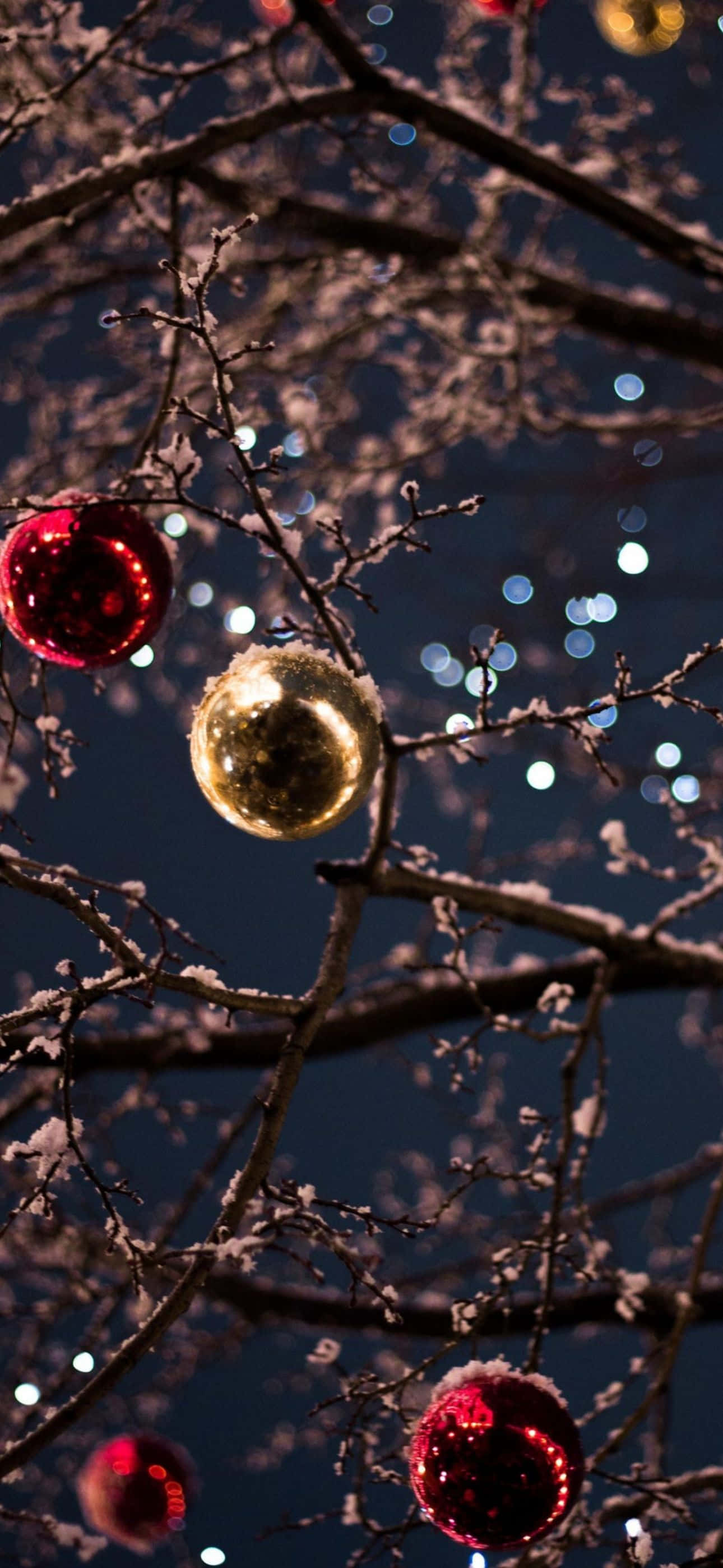 Bu şenlikli Noel iPhone duvar kağıdıyla tatil ruhuna girin Duvar Kağıdı