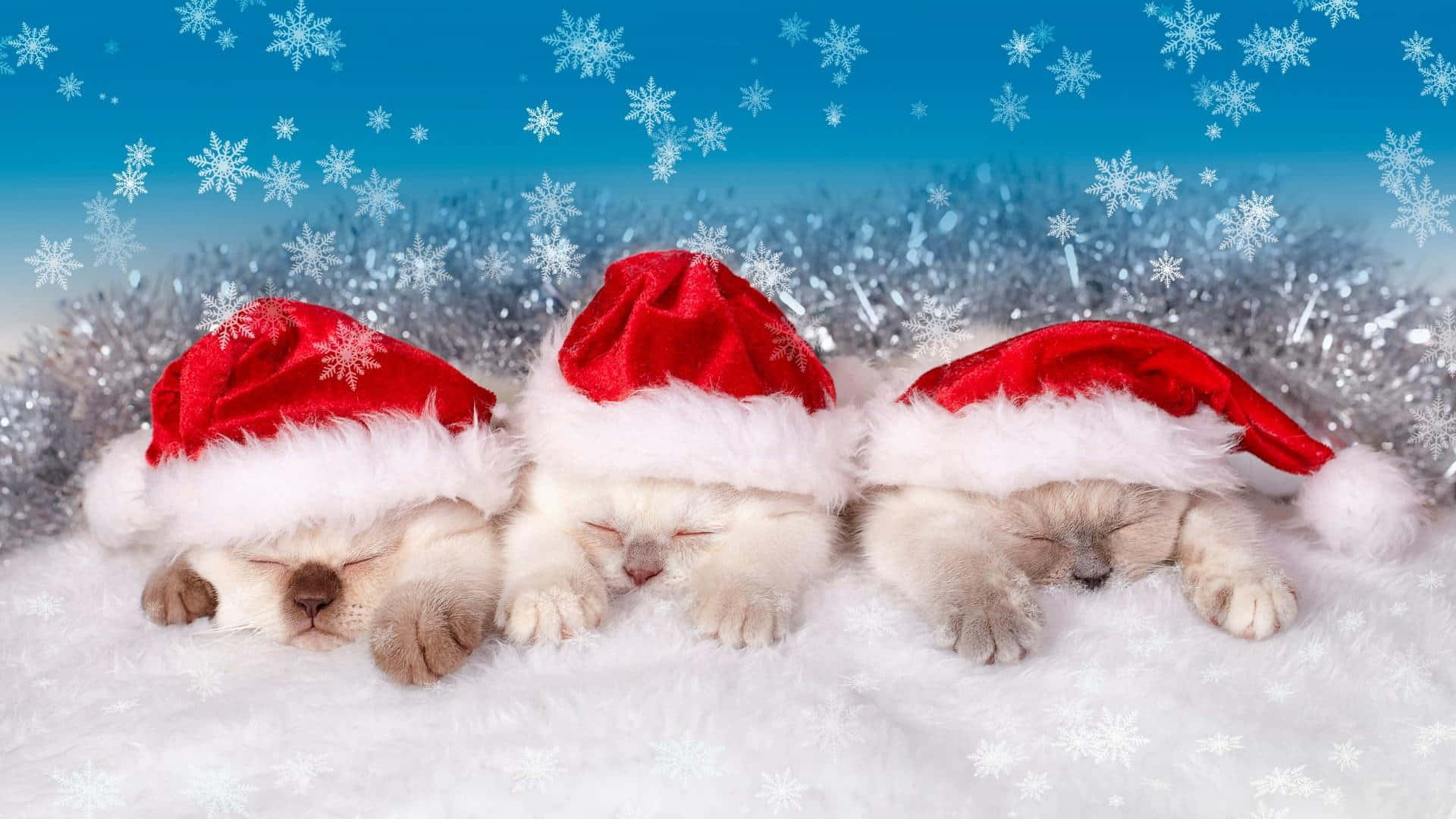 Bu sevimli estetik Noel sahnesiyle tatil neşesini yayın. Duvar Kağıdı