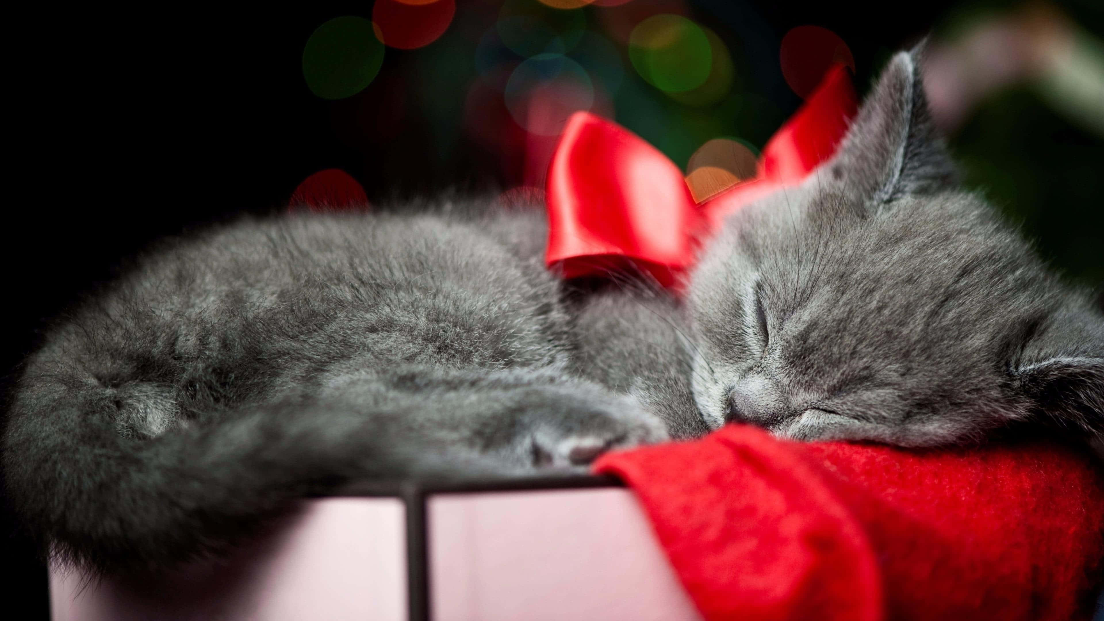 Bu şık Noel dekorasyonu ile bayram ruhunu hissedin! Duvar Kağıdı