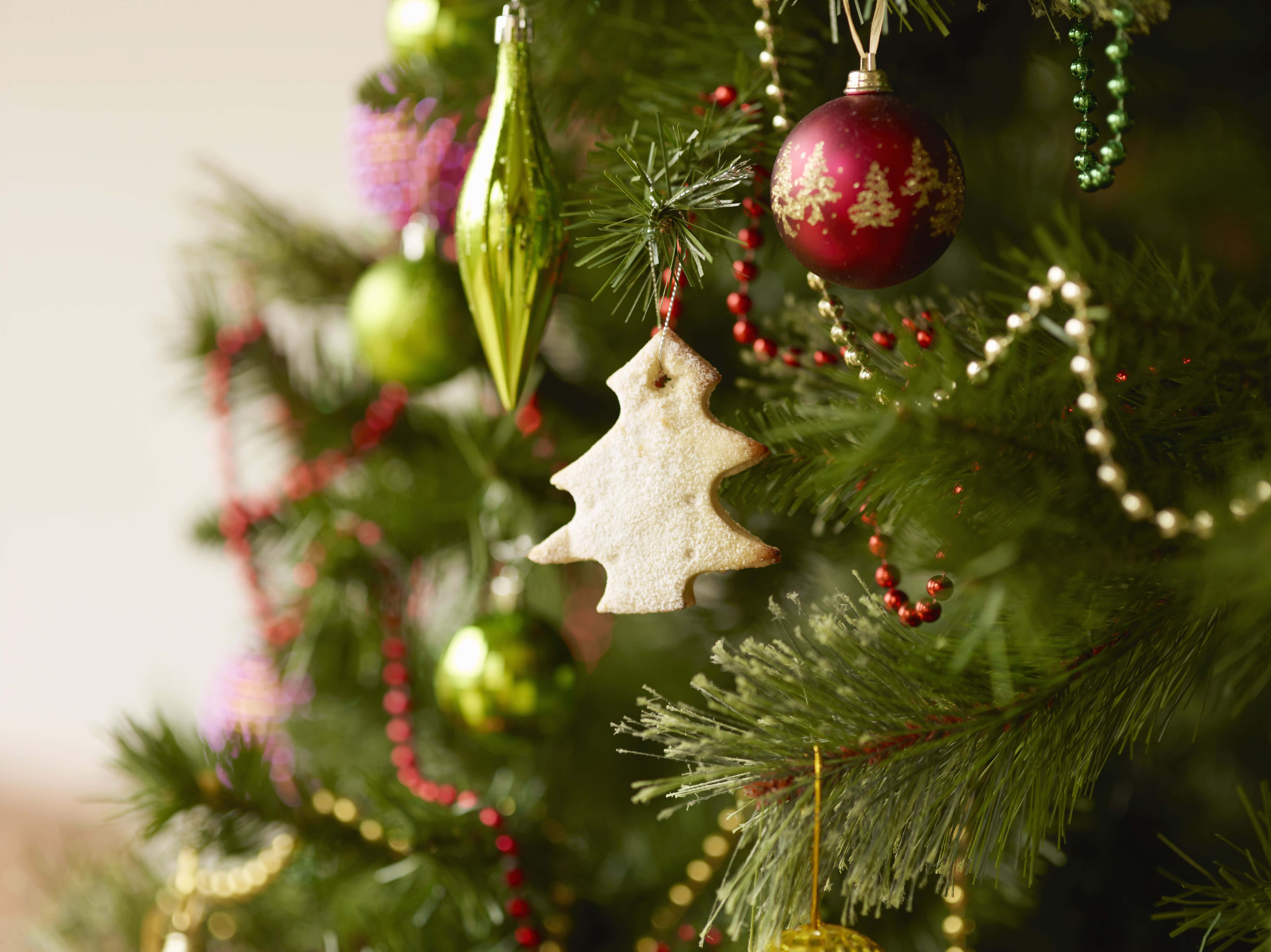 "Bu tatil sezonunda Noel'in güzelliğini kutlayın!" Duvar Kağıdı