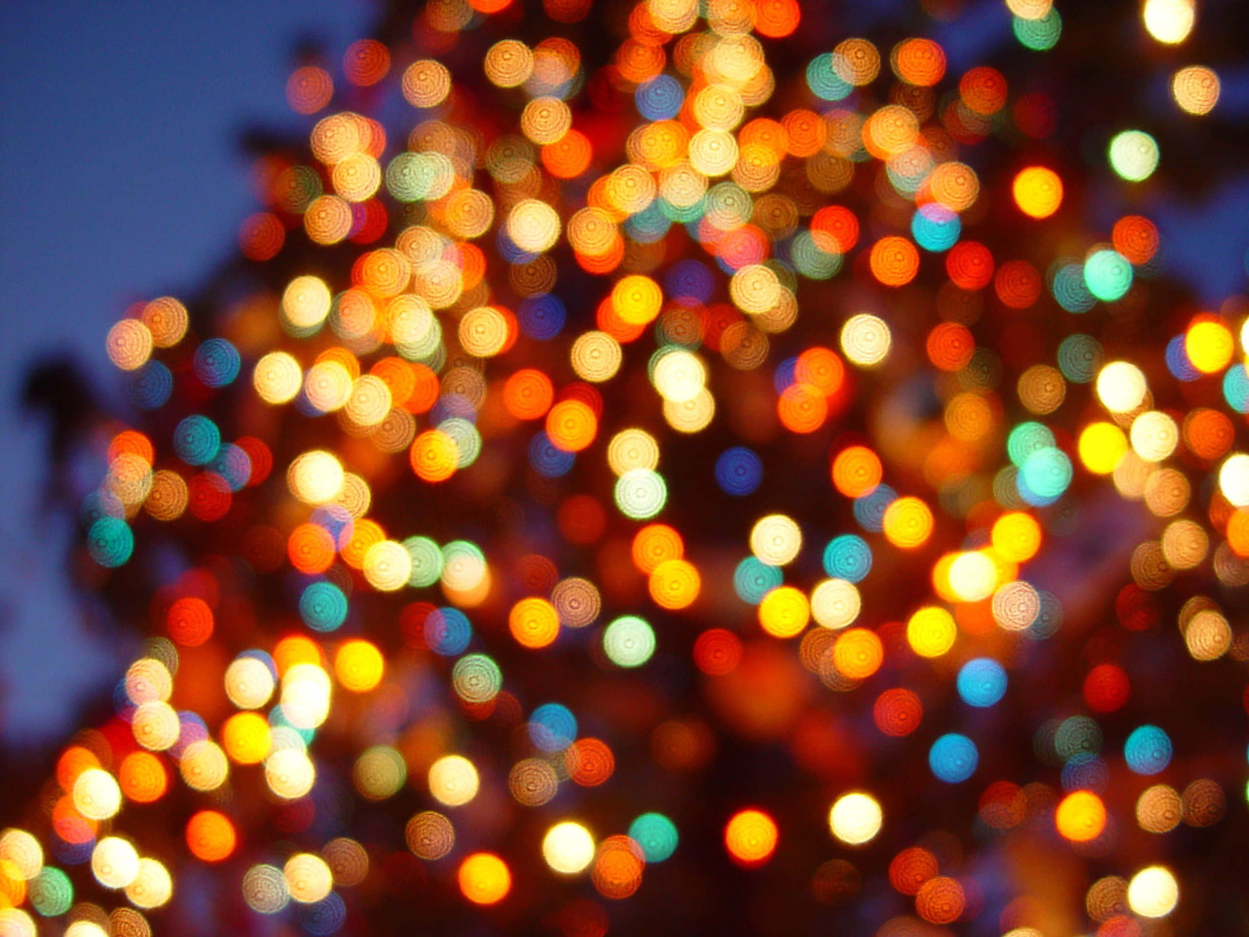 Bu tatil sezonunu ışıldayan Noel ışıklarıyla kutlayın Duvar Kağıdı
