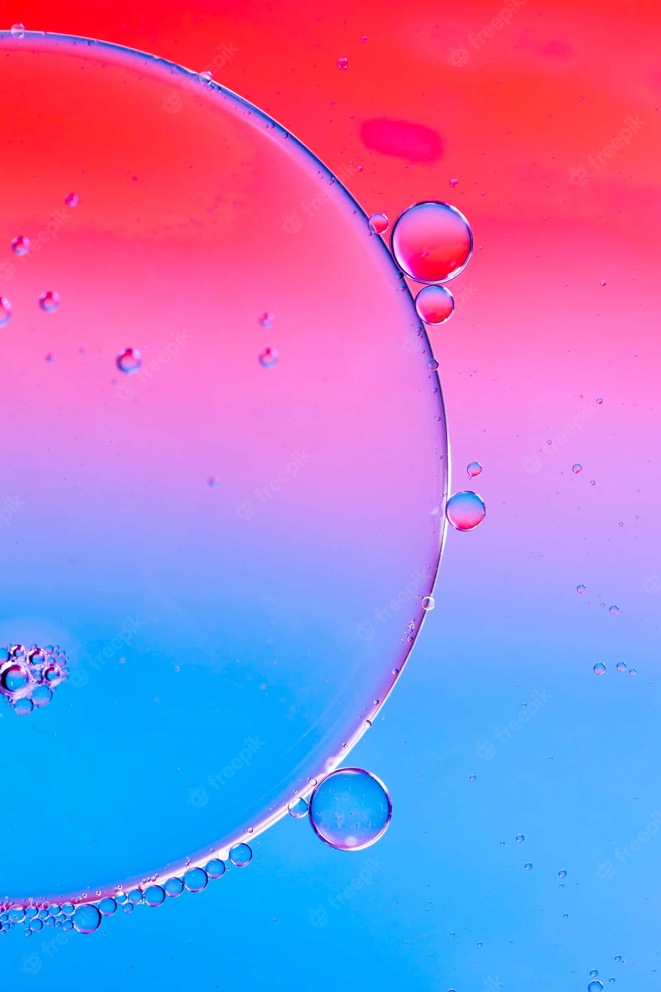 Bubbles Telefon ile Sohbet Etmeye ve Dünyayı Keşfetmeye Hazır Olun! Duvar Kağıdı