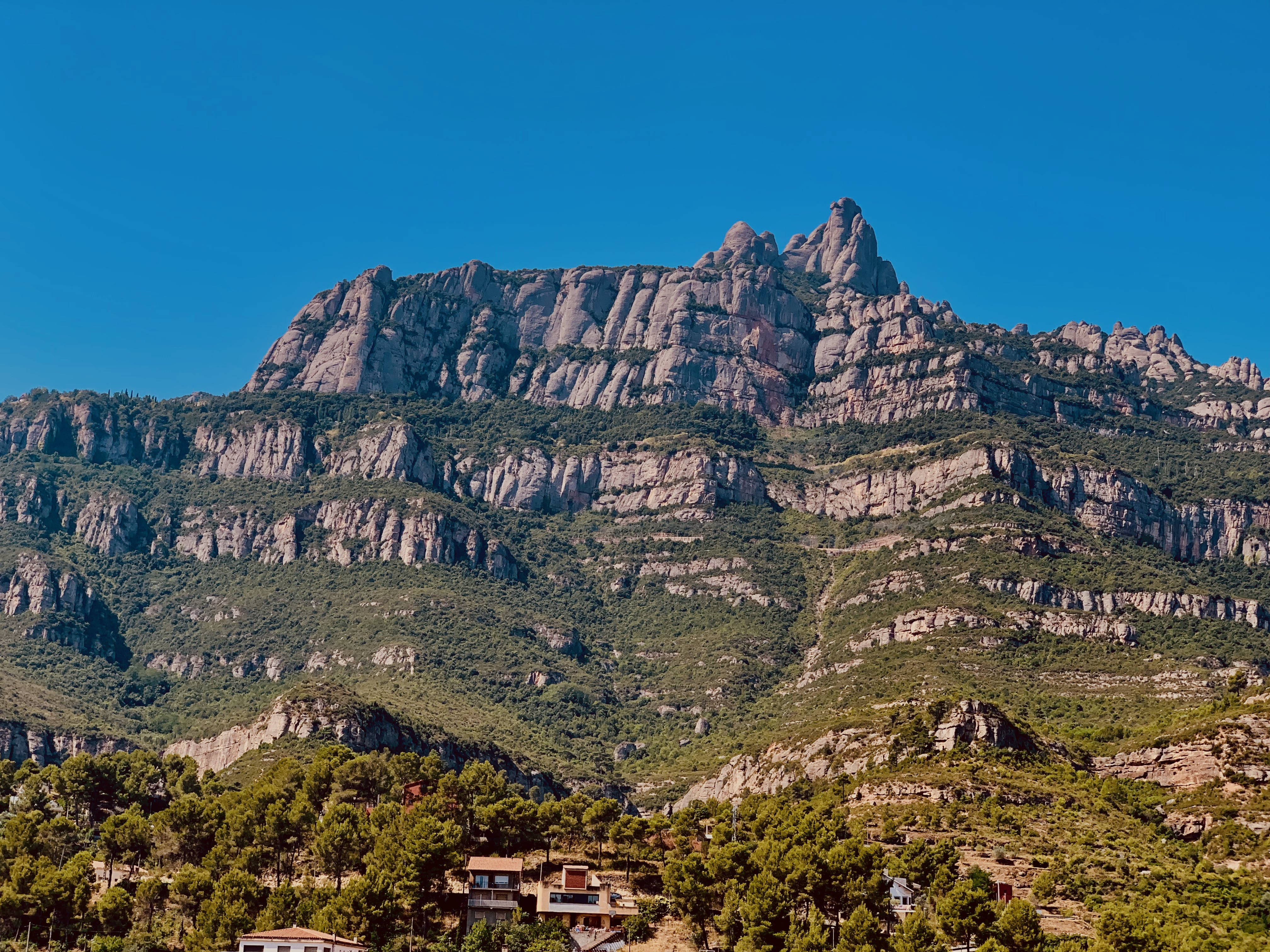 Büyük Montserrat Yamaları Duvar Kağıdı