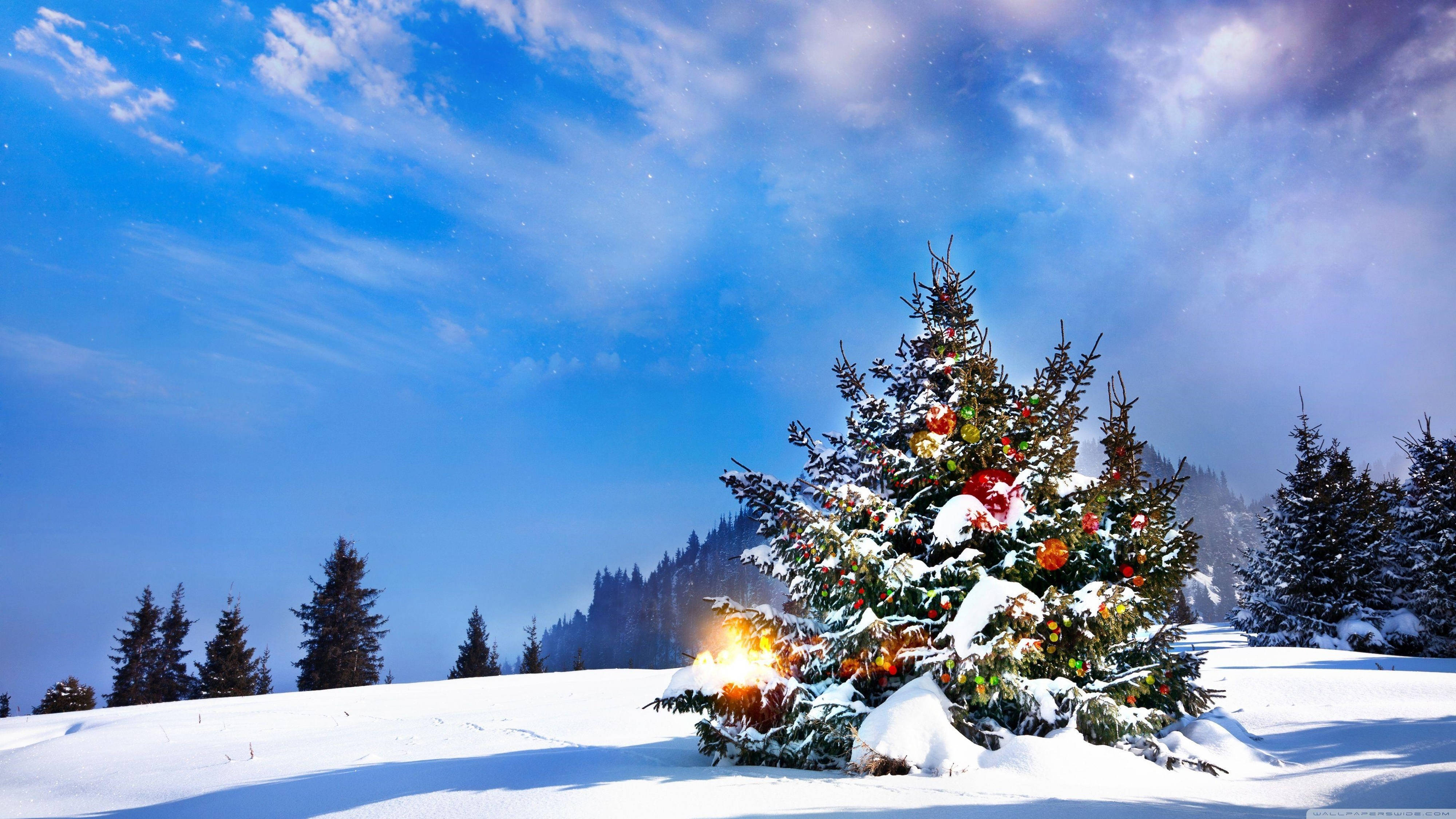 Büyüleyici 4K Ultra HD Karlı Noel Ağacı Duvar Kağıdı