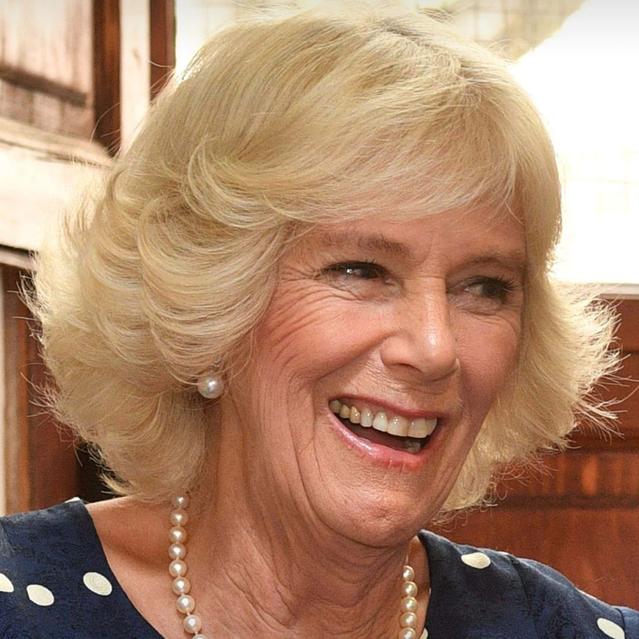 Camilla Mobil Gülüş Duvar Kağıdı