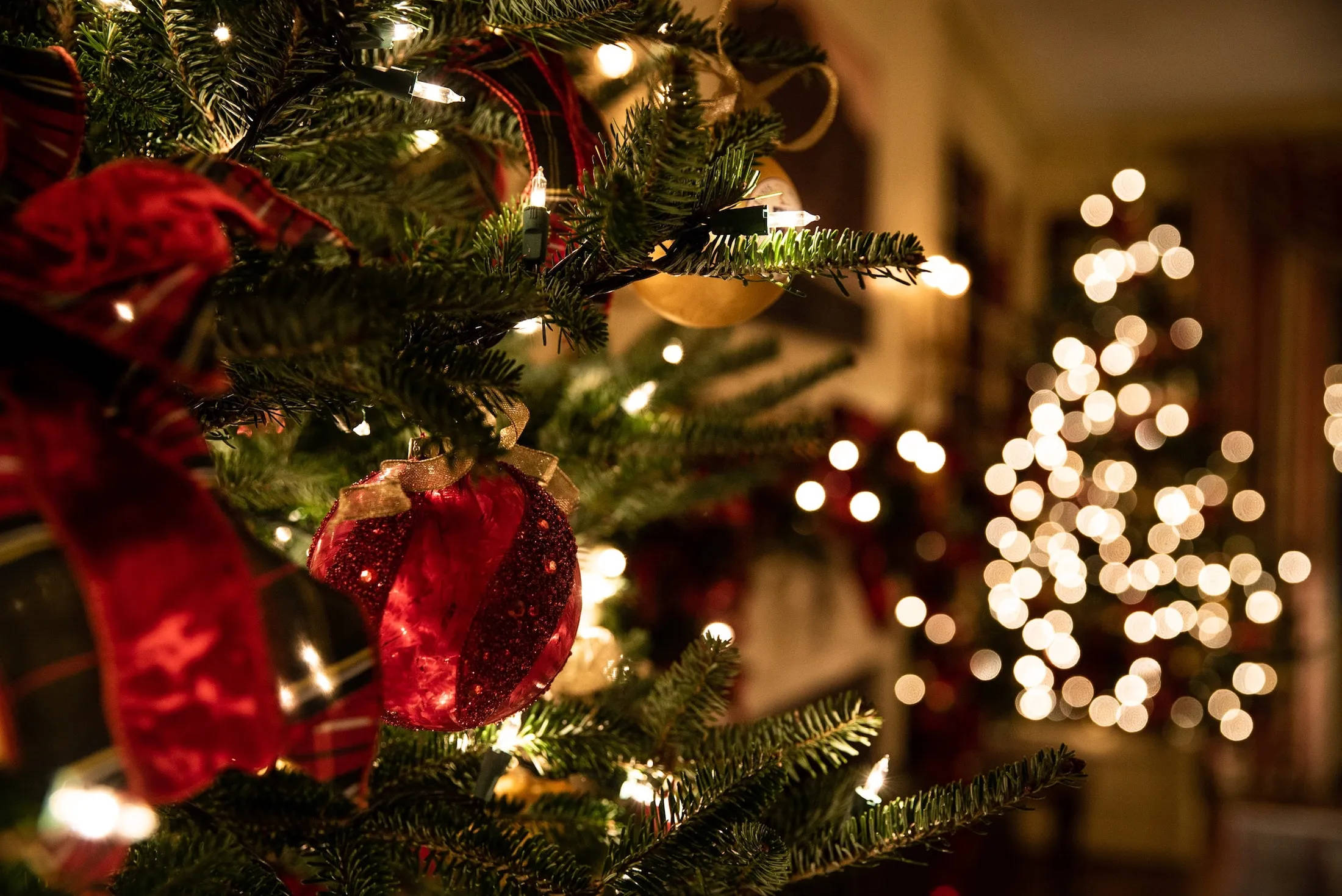 Canlı ve Serin Bir Noel Masaüstü Görüntüsü Duvar Kağıdı