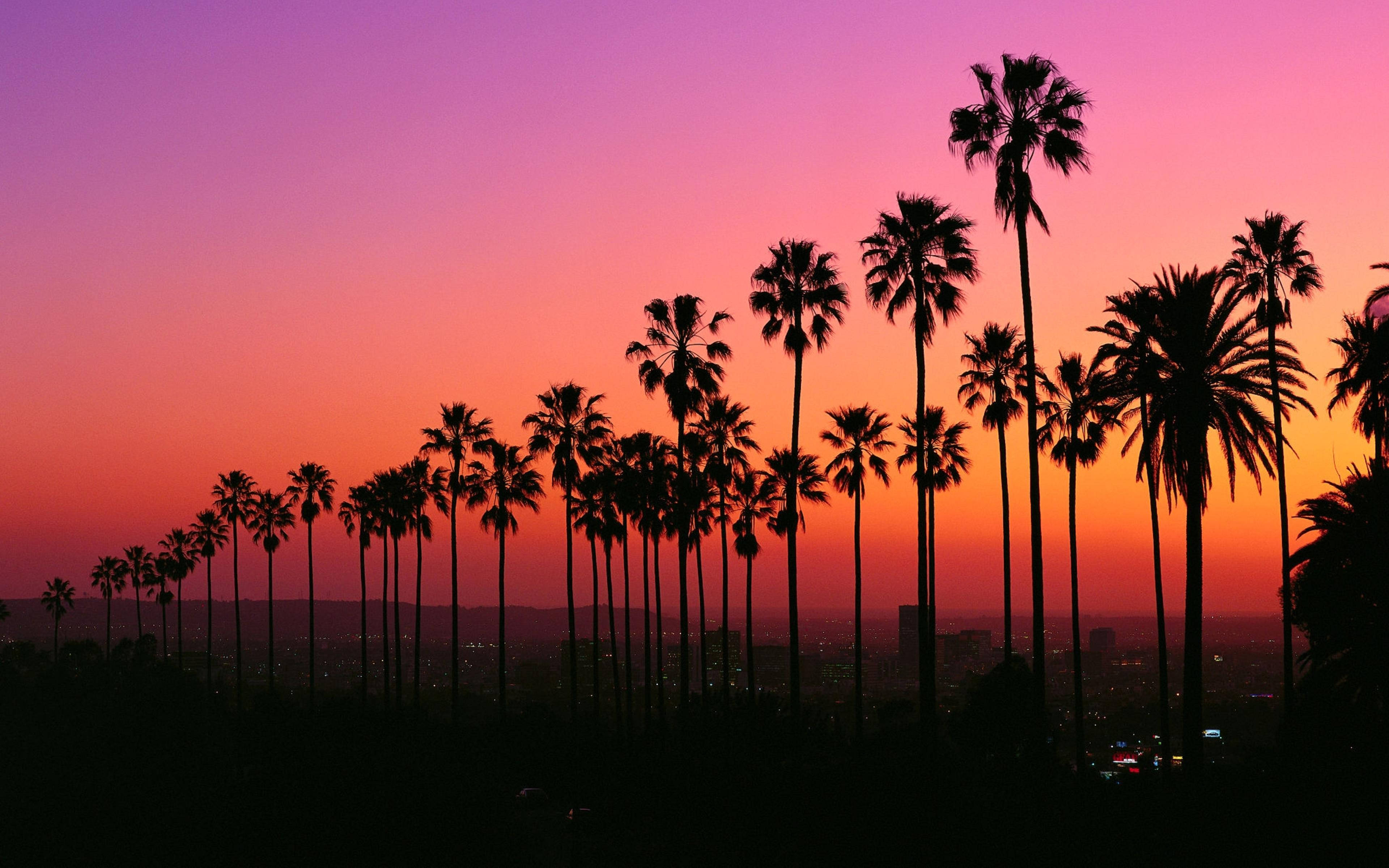 Canlı Los Angeles Gün Batımı Duvar Kağıdı