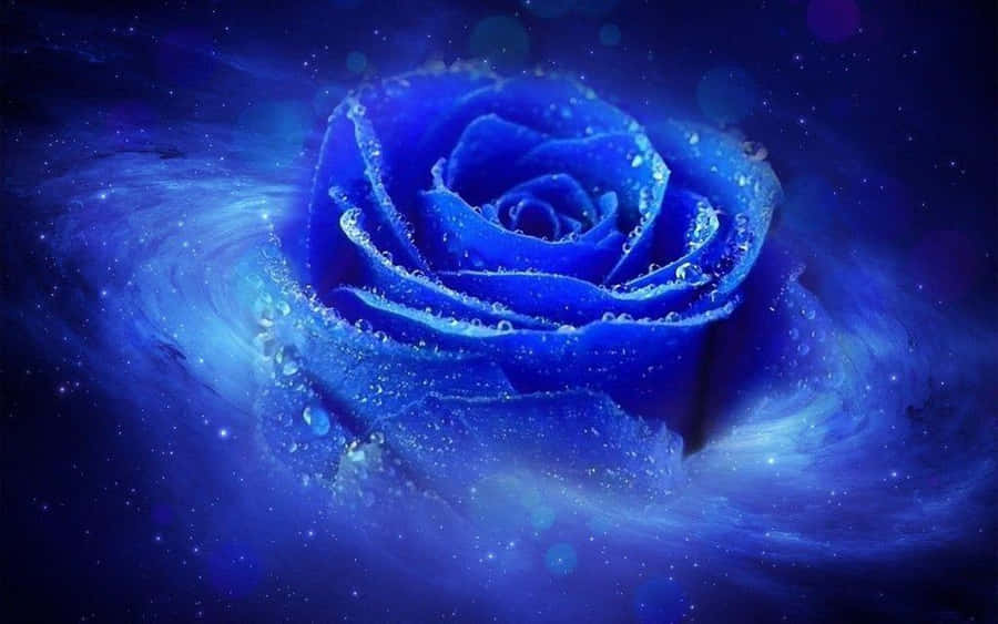 Çarpıcı pembe çiçekli gün batımının yakın çekim görüntüsü Duvar Kağıdı