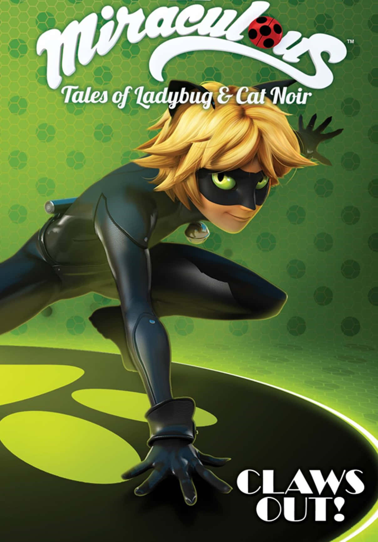 Cat Noir ile Macera Heyecanını Yaşayın! Duvar Kağıdı