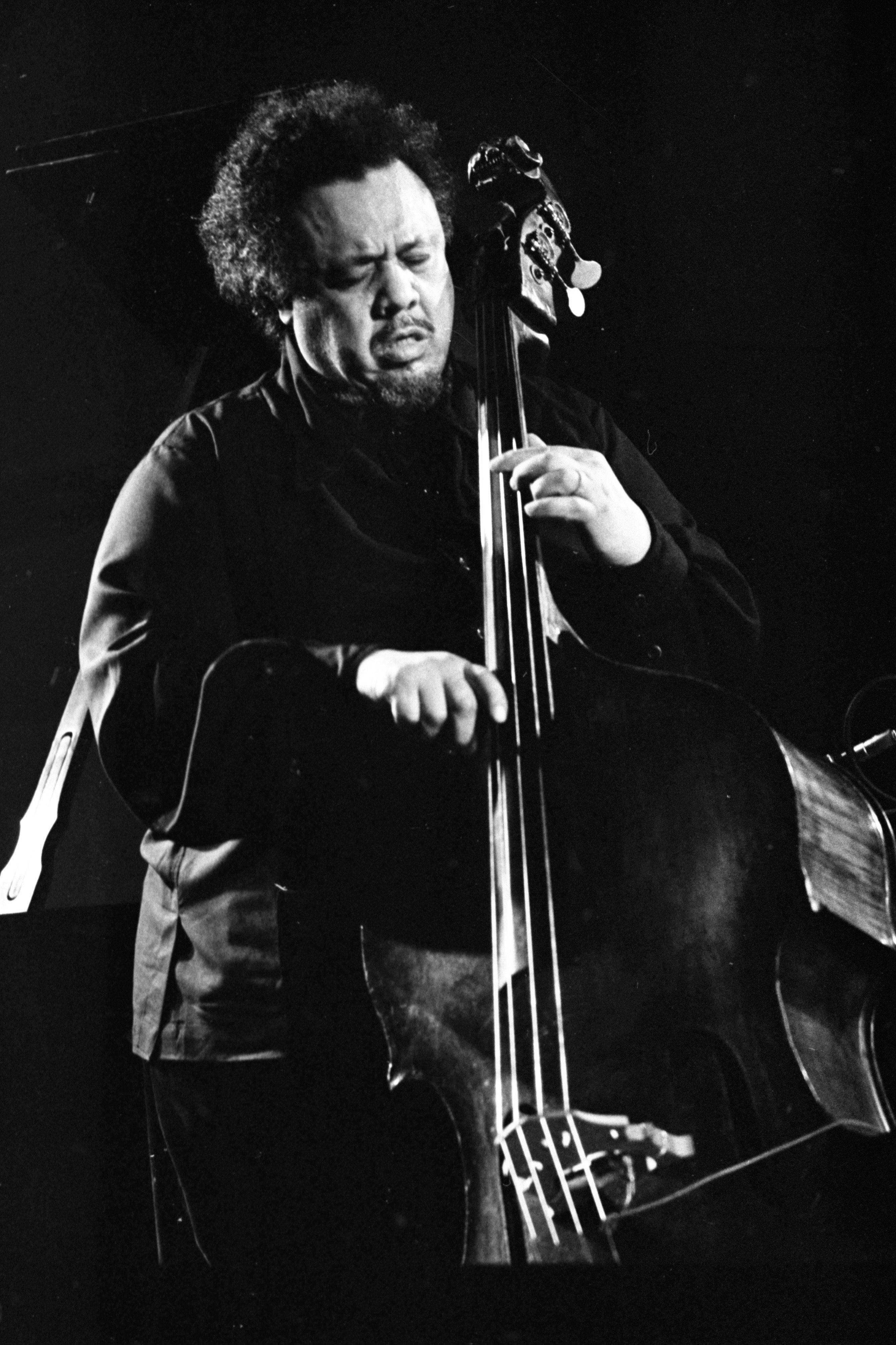 Charles Mingus Ruhla Bas Gitar Çalarken Duvar Kağıdı