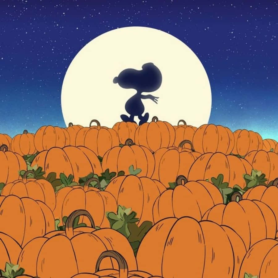 Charlie Brown Cadılar Bayramı resimleri Duvar Kağıdı