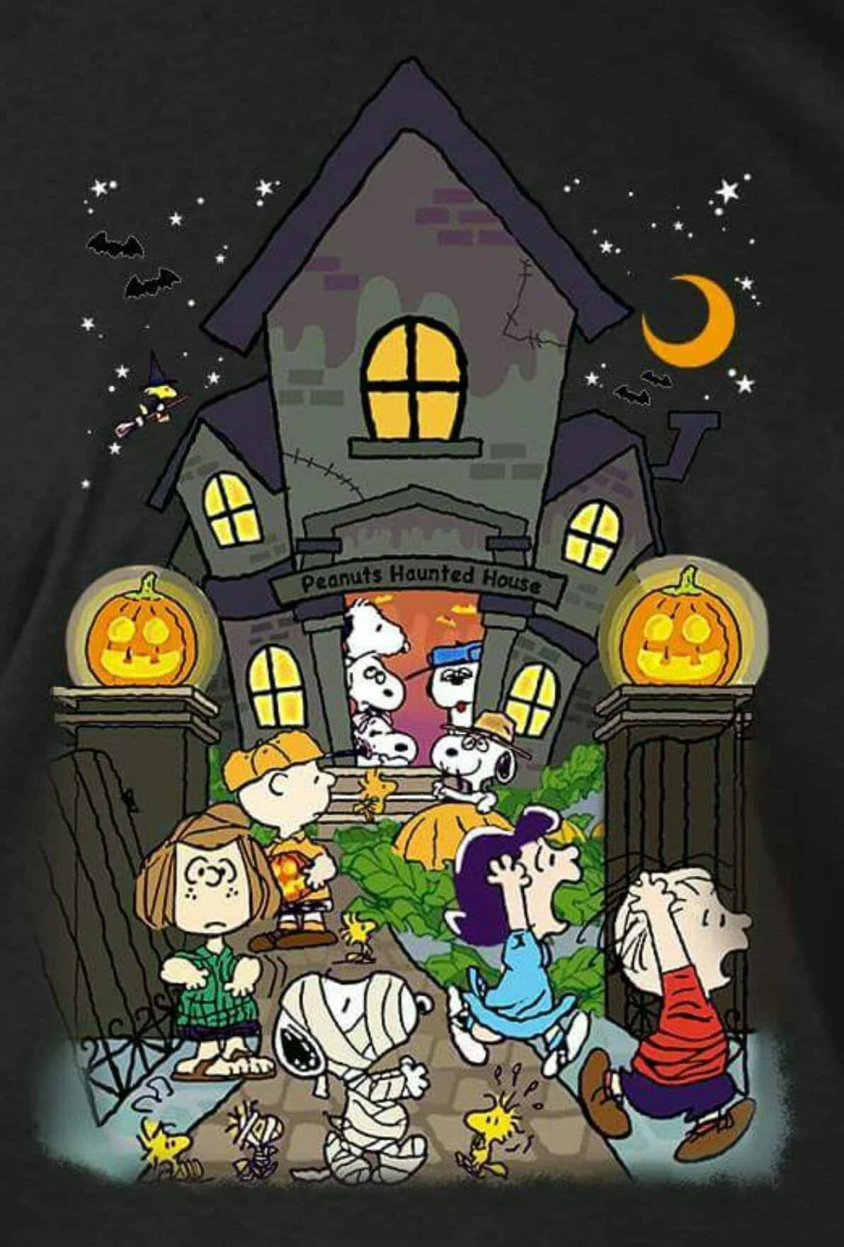 Charlie Brown Cadılar Bayramı resimleri Duvar Kağıdı