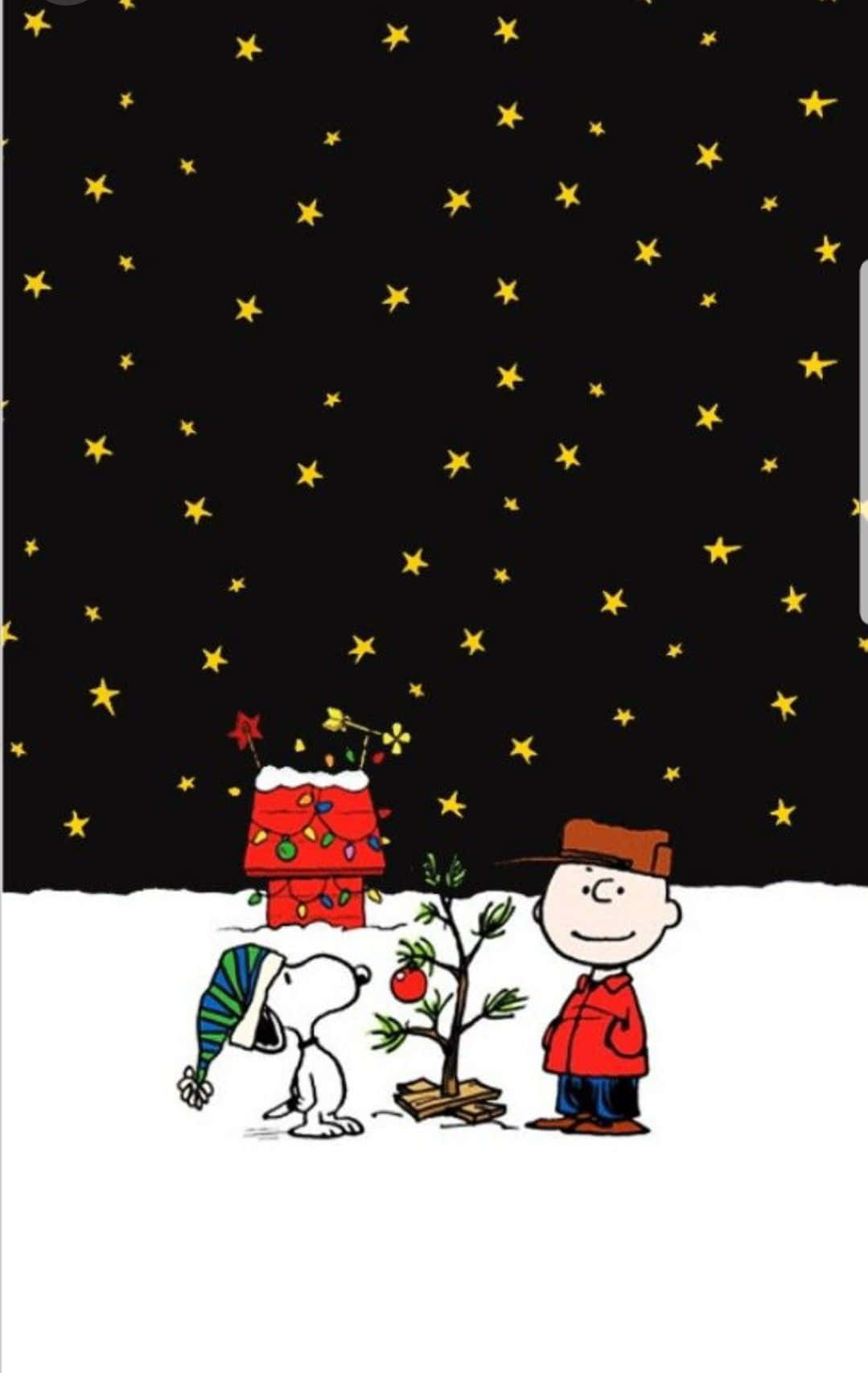 Charlie Brown Yıldızlı Noel Gecesi Duvar Kağıdı