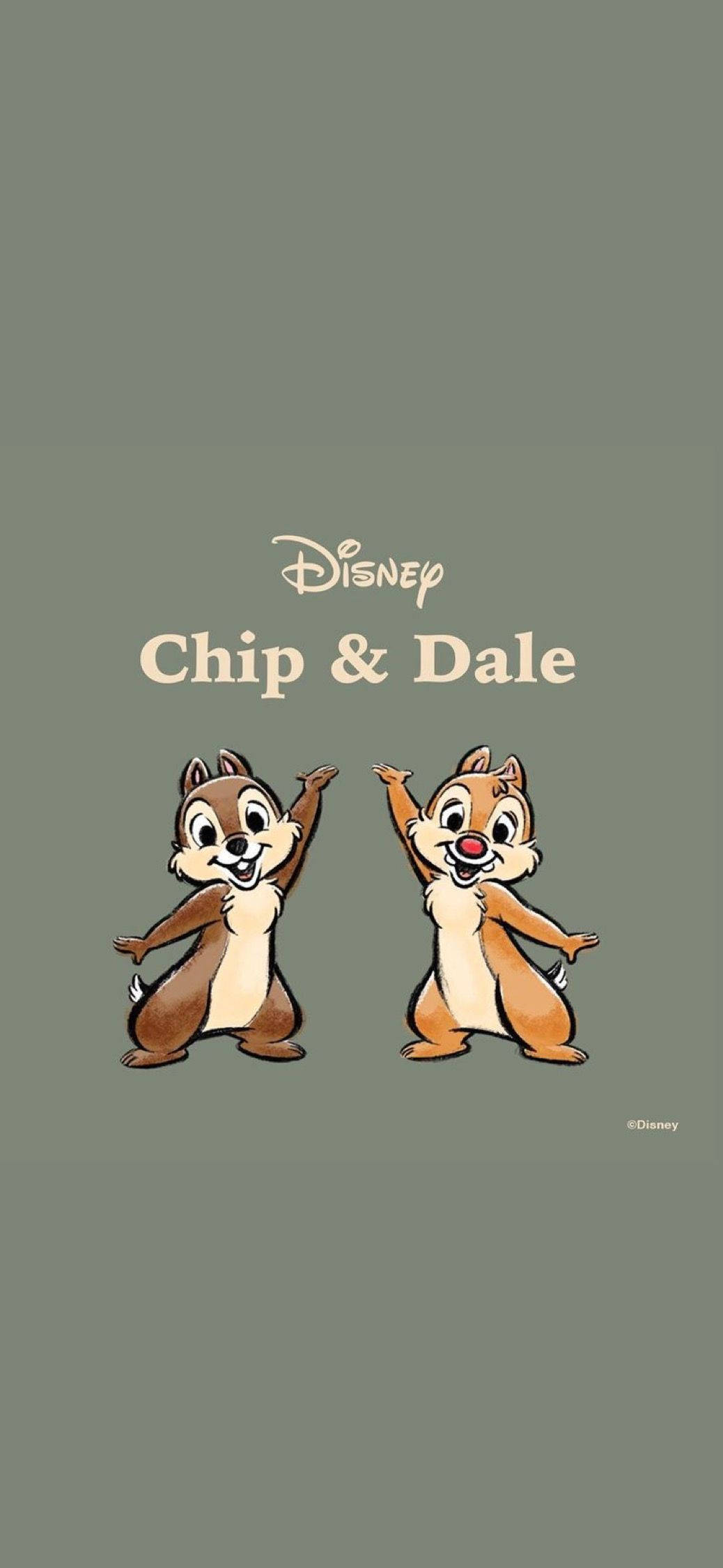 Chip N Dale Gri Arka Planda Duvar Kağıdı