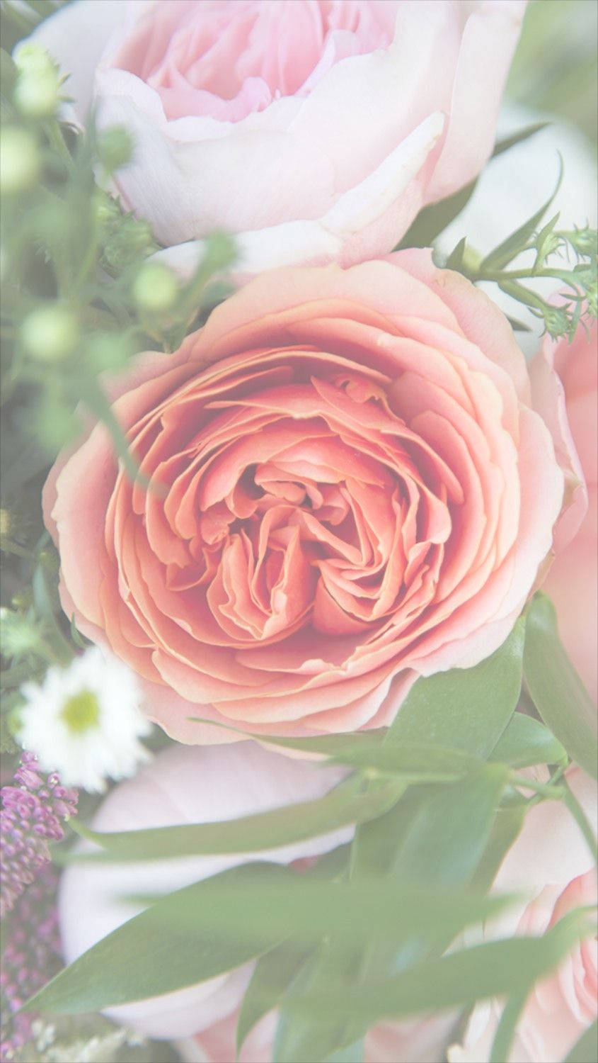 Çiçek Açan Floral iPhone Duvar Kağıdı