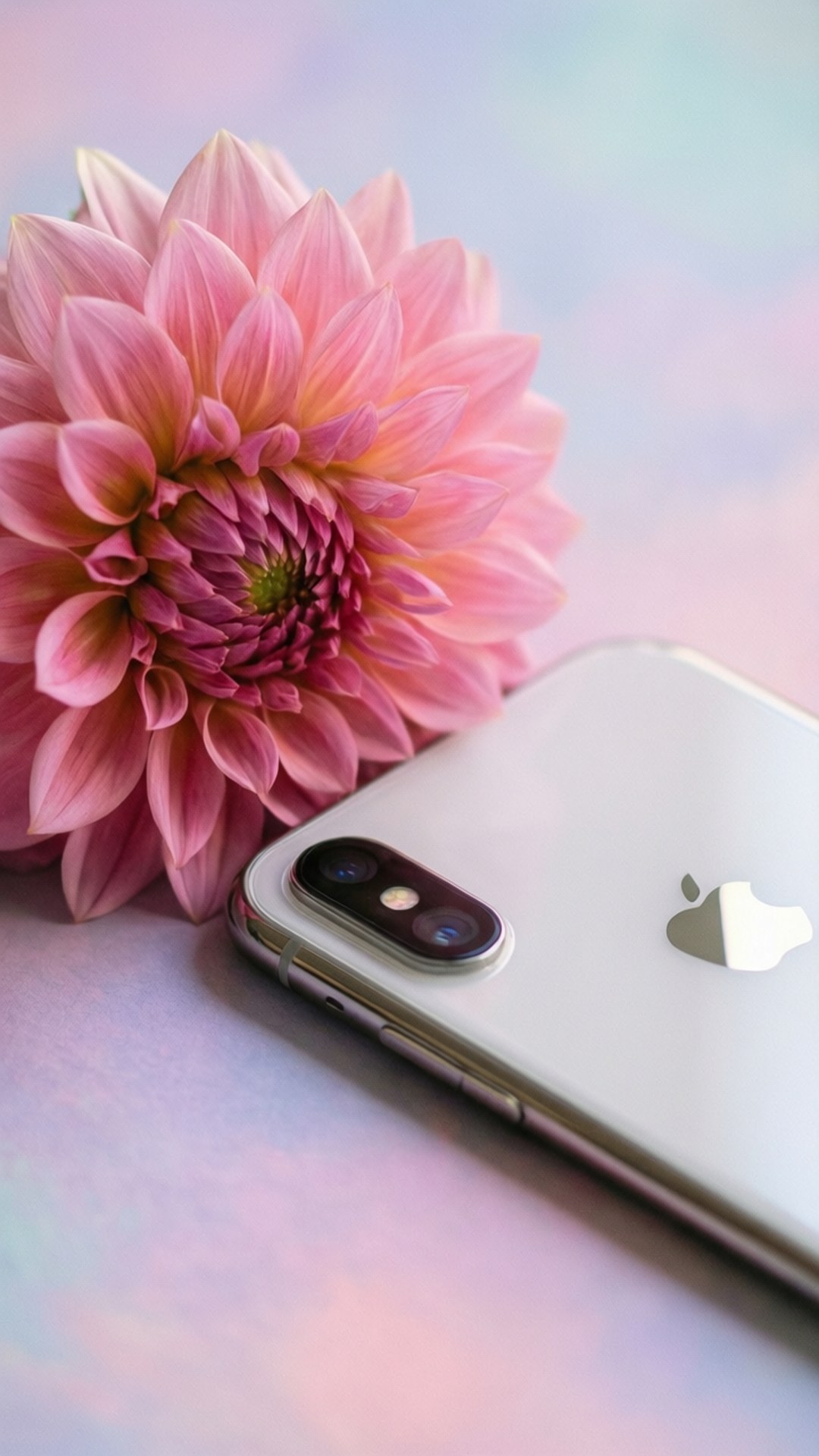 Çiçeksi Zarafet iPhone XR Duvar Kağıdı