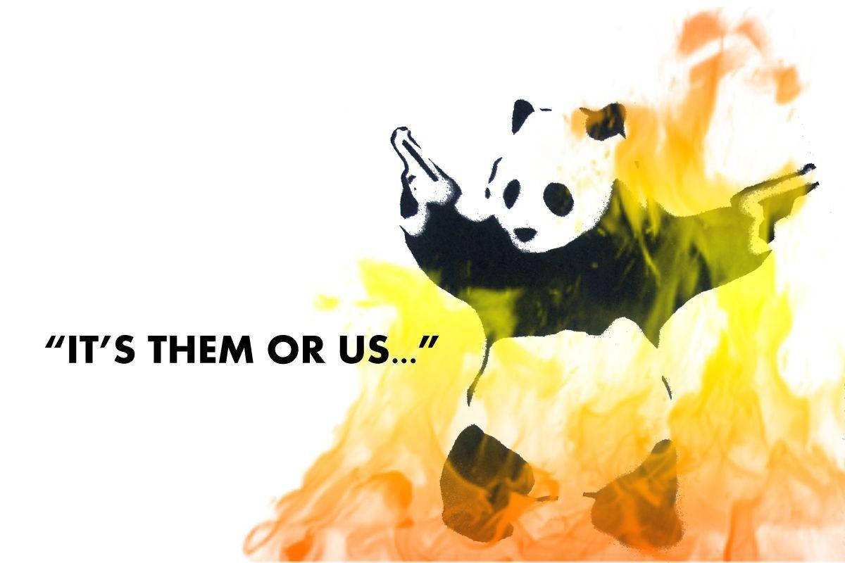 Çılgın Panda Alevler Memi Duvar Kağıdı
