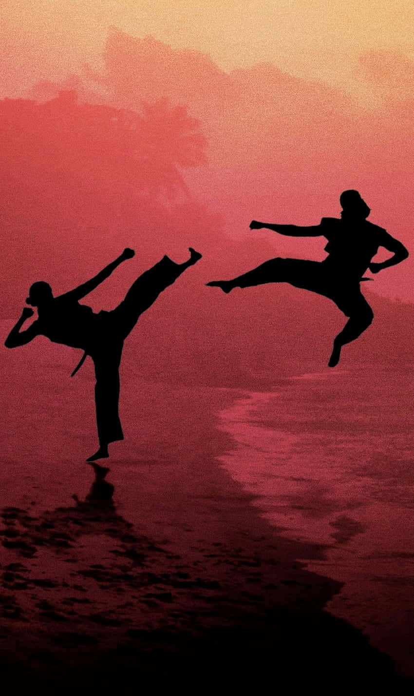 Cobra Kai iPhone Xr Dövüş Silüeti Arka Planı Duvar Kağıdı