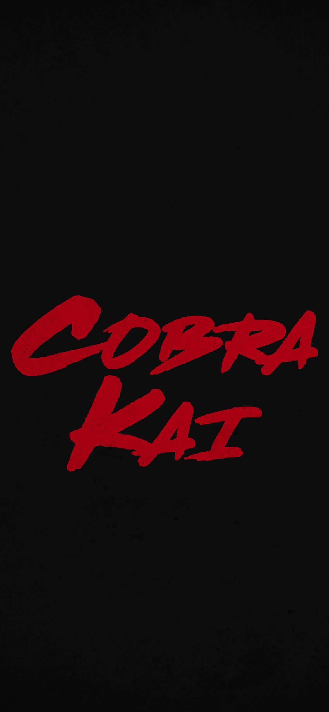 Cobra Kai iPhone Xr Başlık Arka Planı Duvar Kağıdı