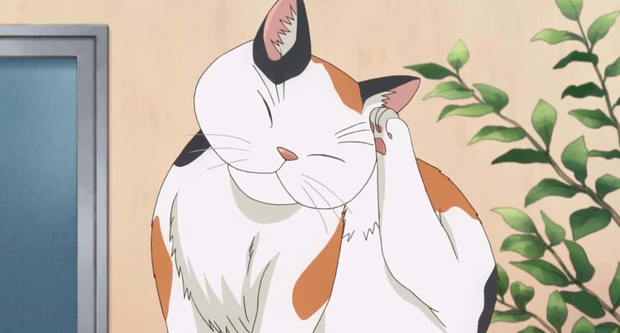 Çok tatlı bir Anime Kedisi gözlüklü! Duvar Kağıdı