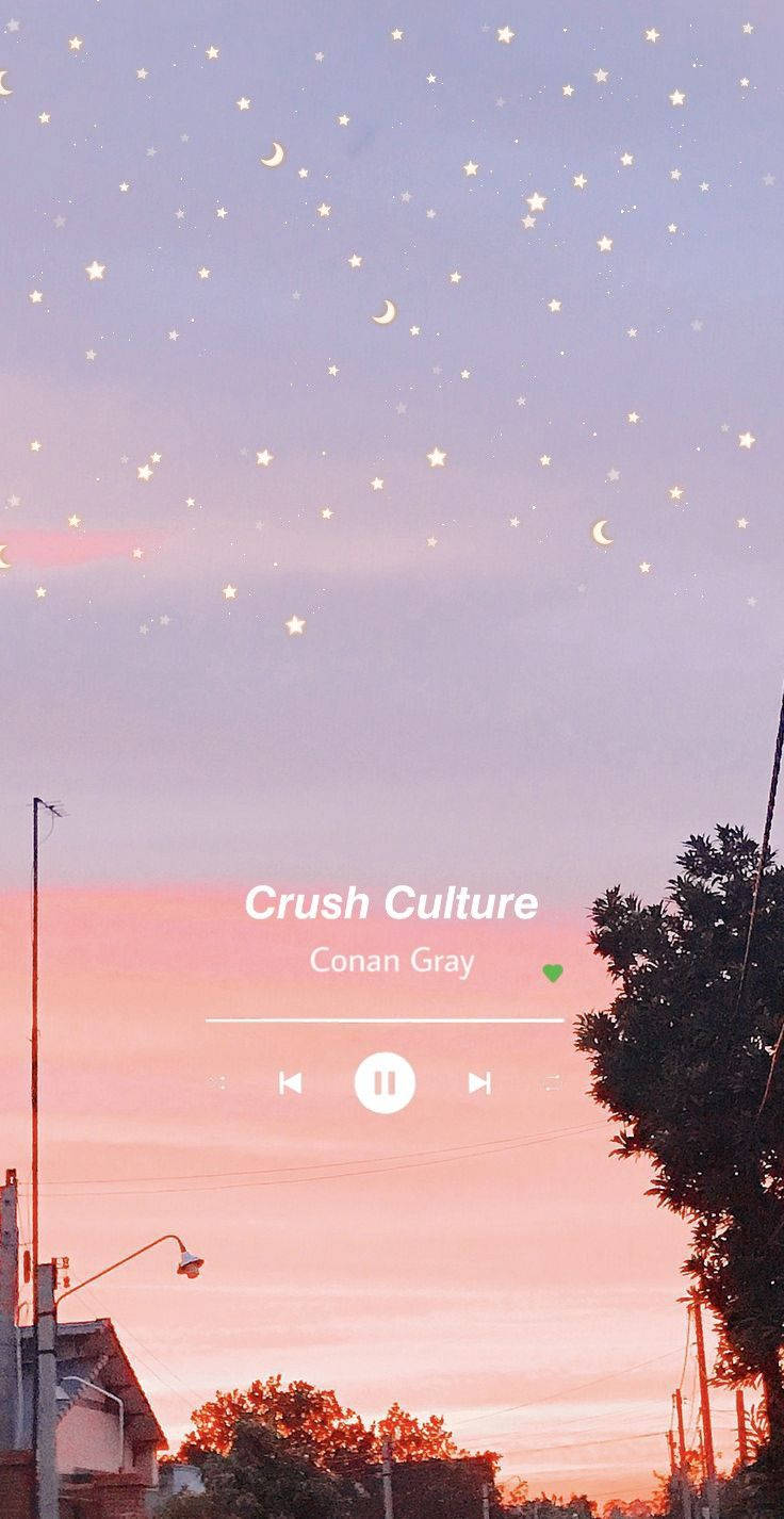 Conan Gray Müzik Estetiği Duvar Kağıdı