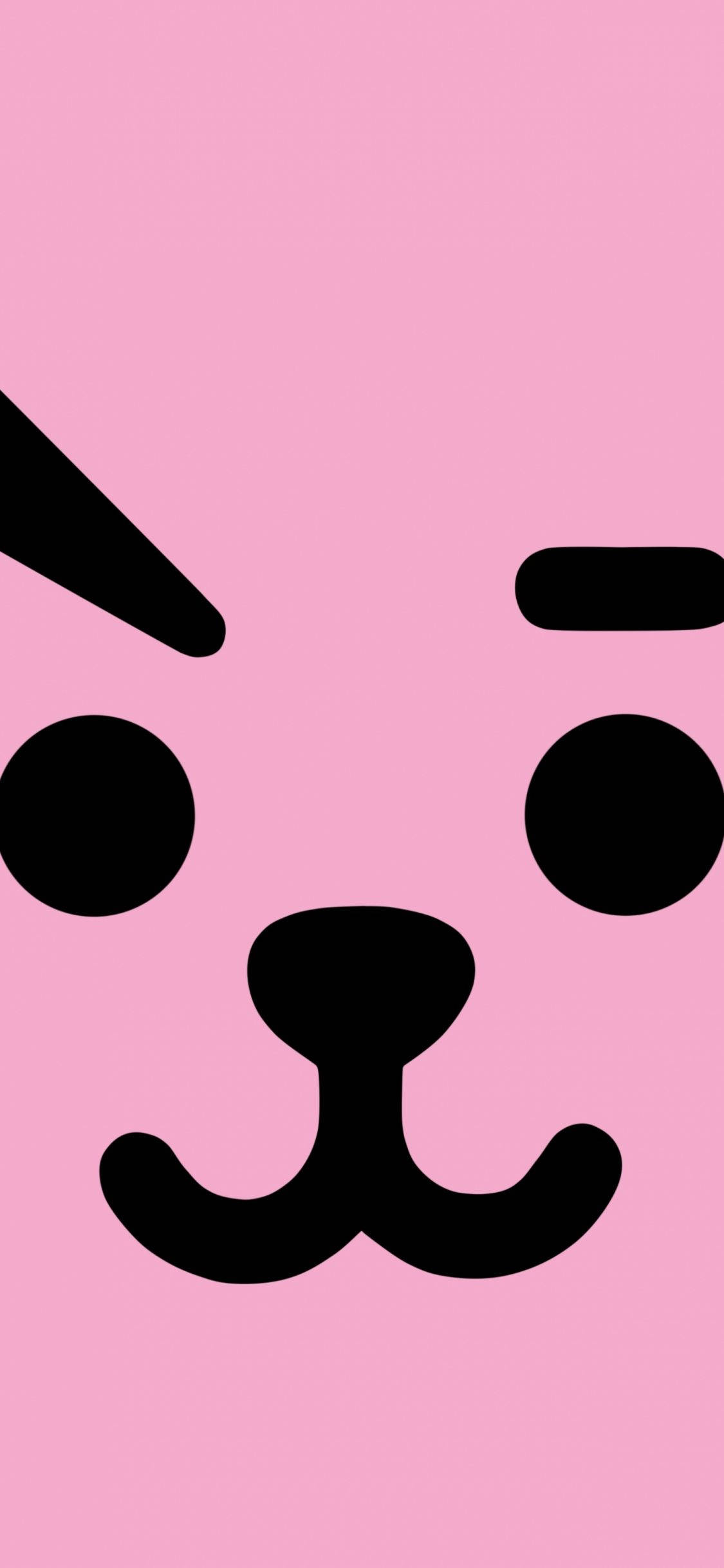 Cooky Bt21 Tam Yüz Duvar Kağıdı