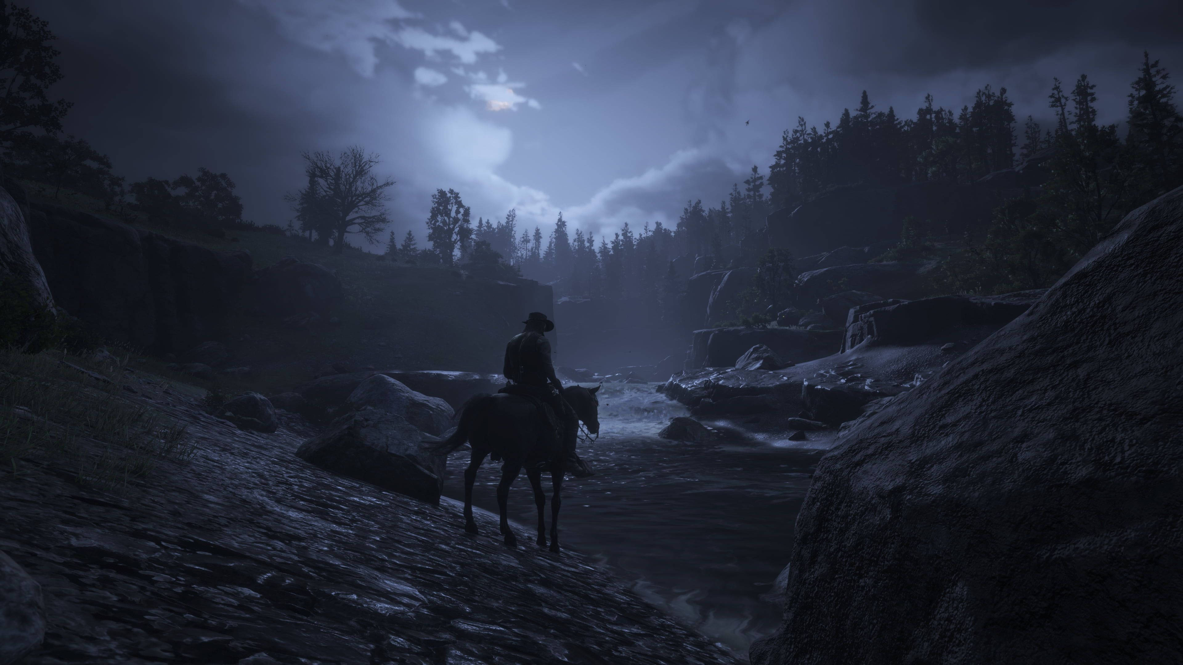 Country Western Kovboy Gecesi Duvar Kağıdı