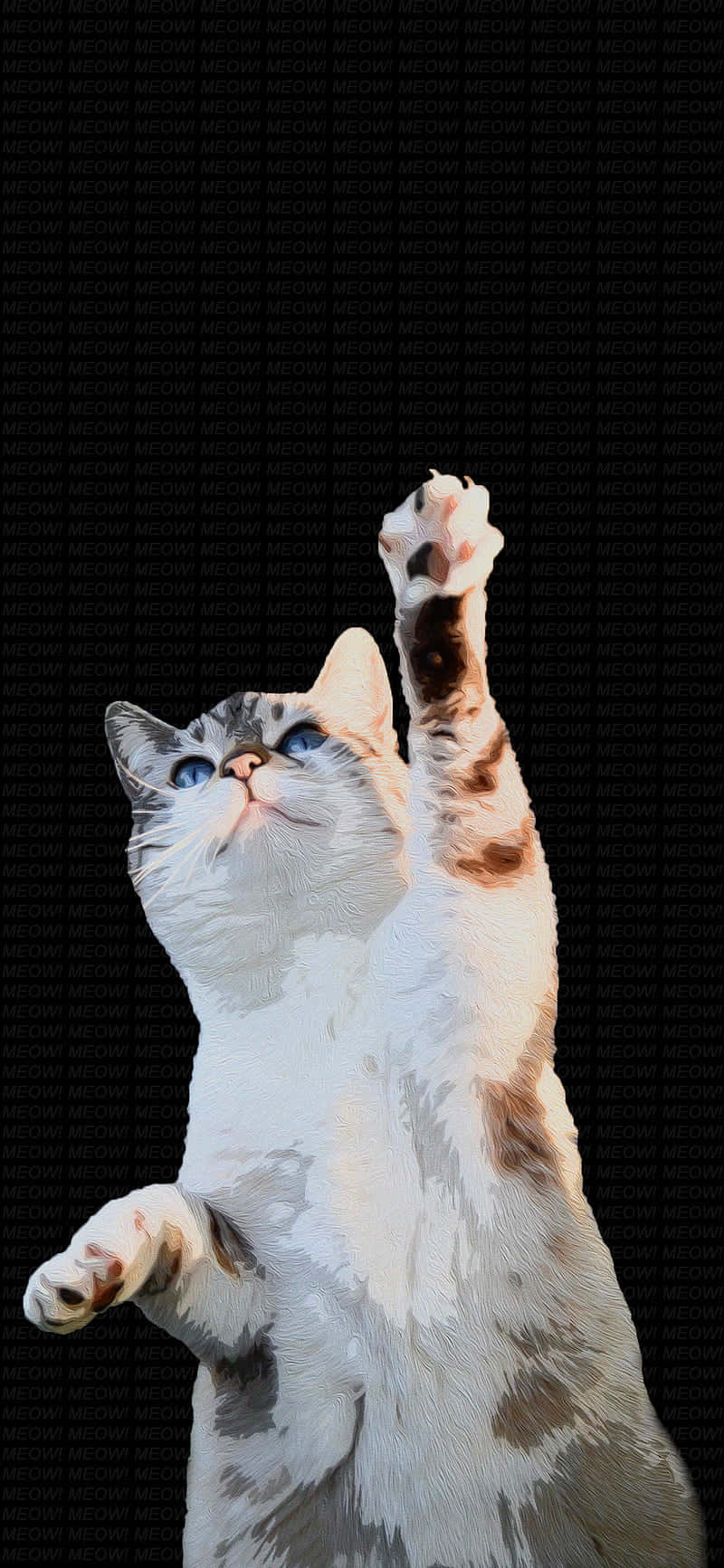 Dans Eden Kedi Pençe Kaldırıyor.JPG Duvar Kağıdı